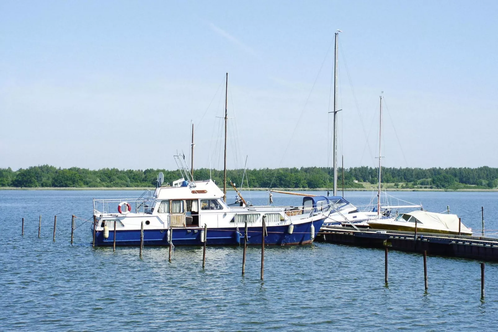 Ferienhaus Ribnitz-Damgarten-Ferienhaus Gerth-Gebieden zomer 1km