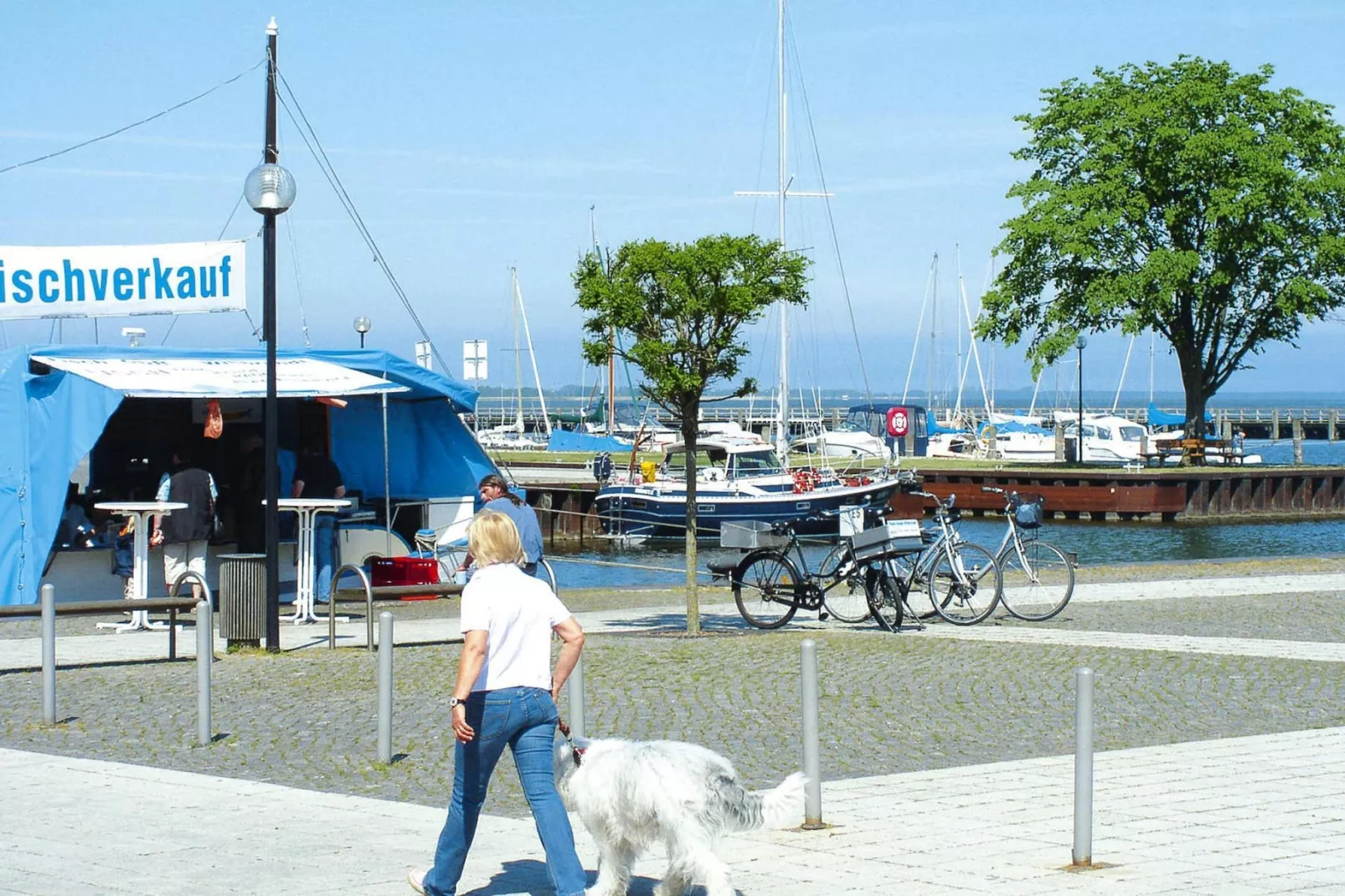 Ferienhaus Ribnitz-Damgarten-Ferienhaus Gerth-Gebieden zomer 5km