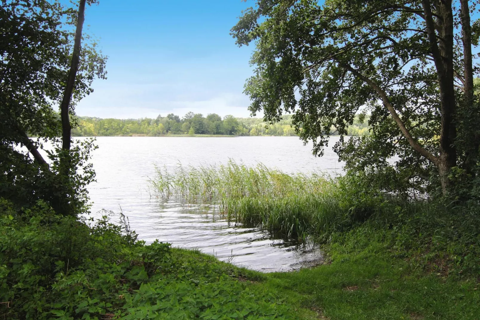 Ferienhaus 55 qm-Gebieden zomer 20km