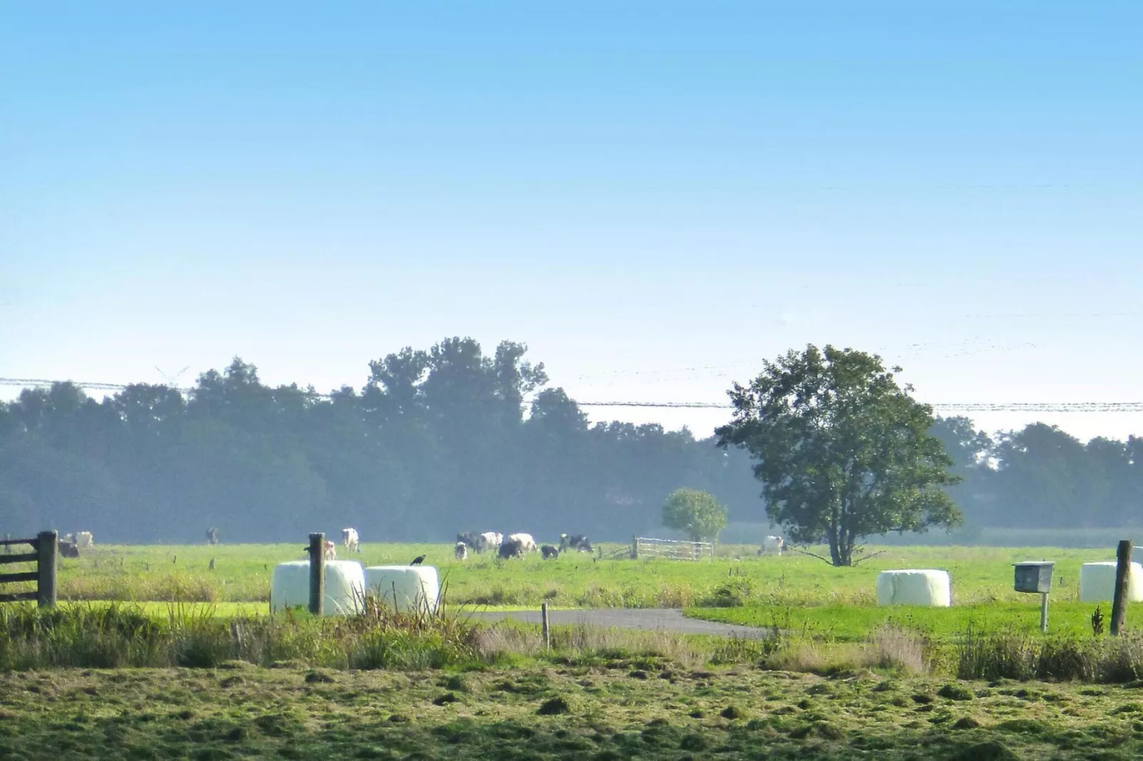 Ferienwohnung Süderschwei-Gebieden zomer 1km