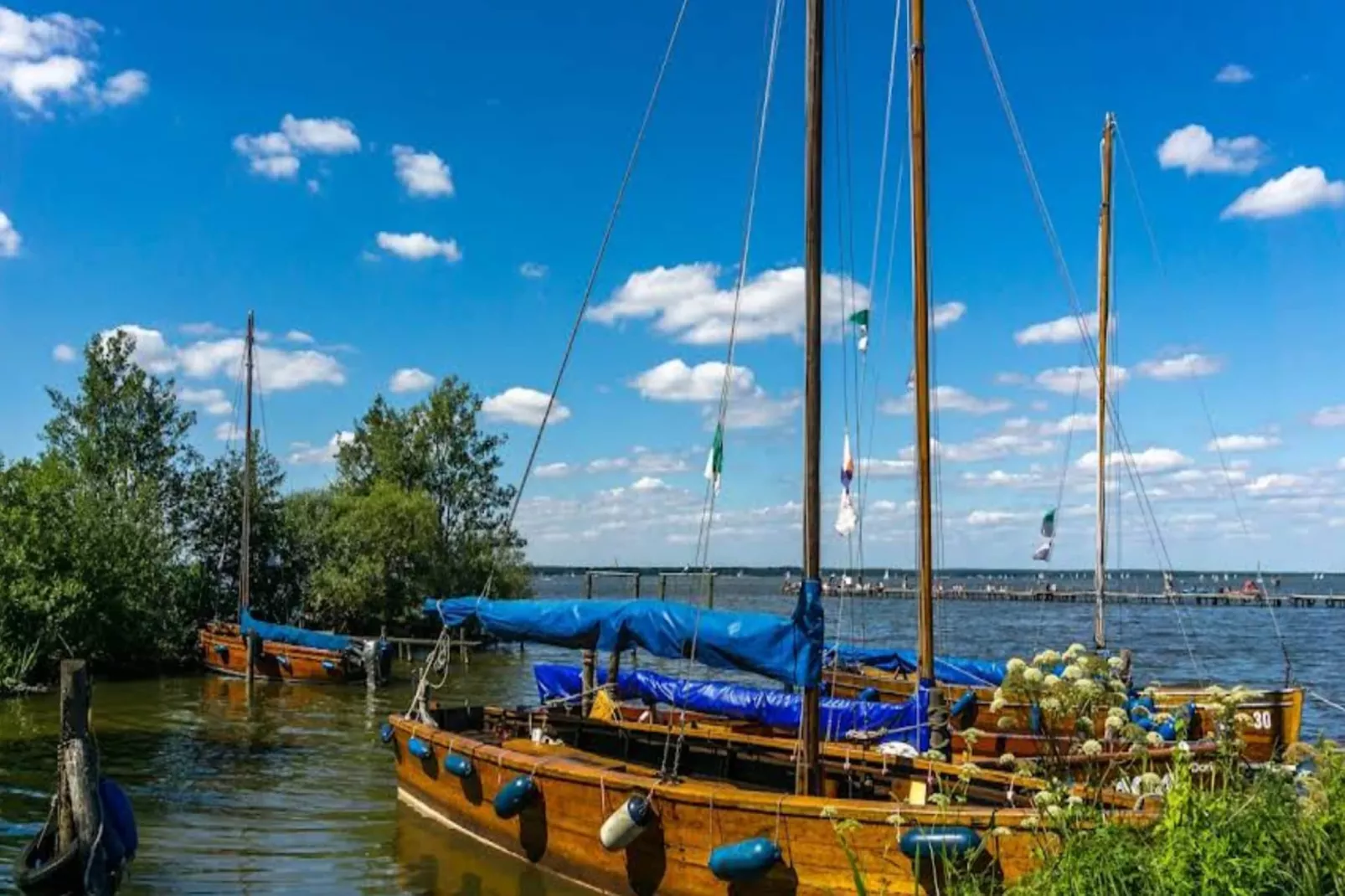 Ferienwohnung Süderschwei-Gebieden zomer 20km
