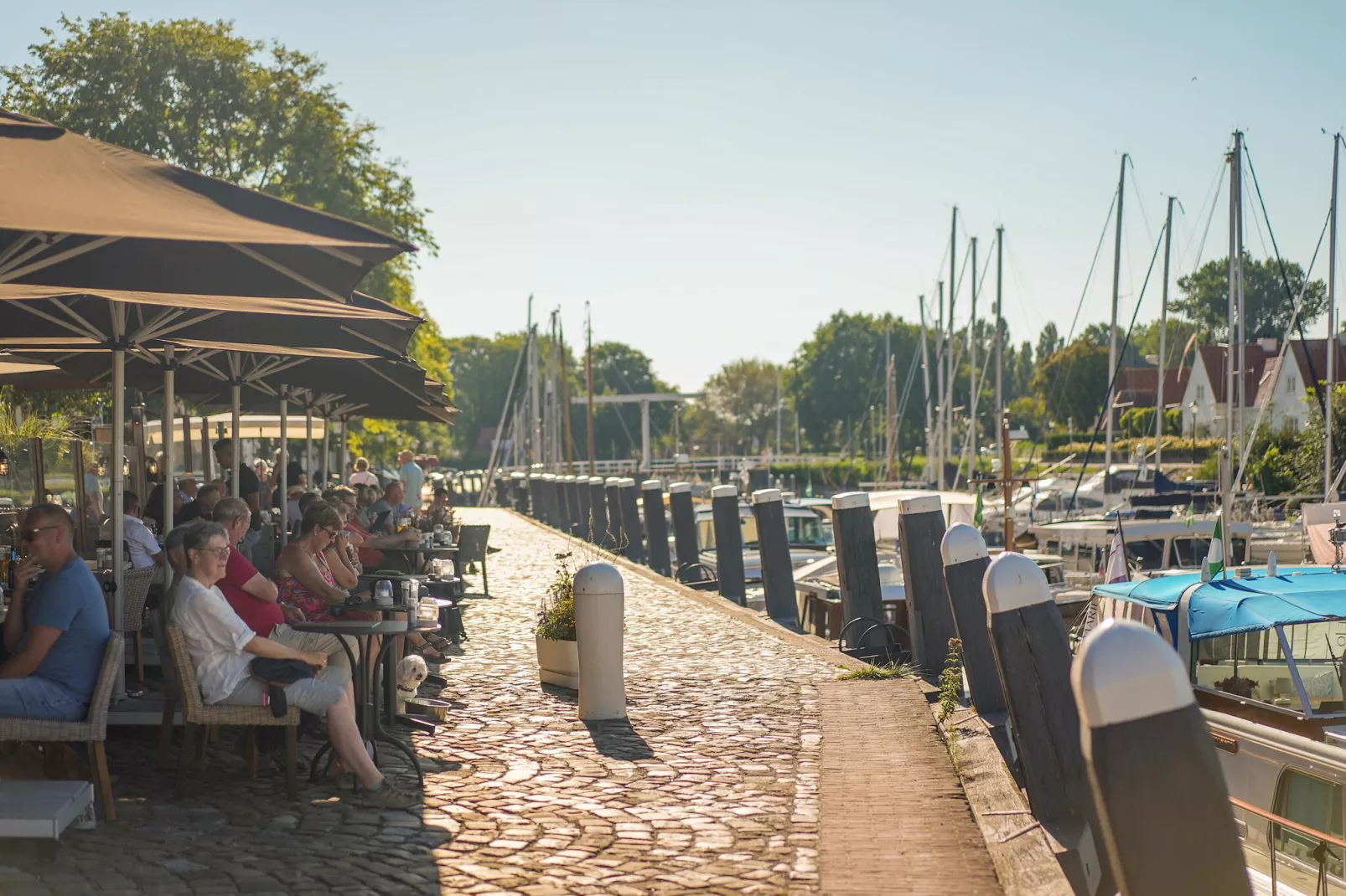 Park Veerse Kreek 1-Gebieden zomer 5km