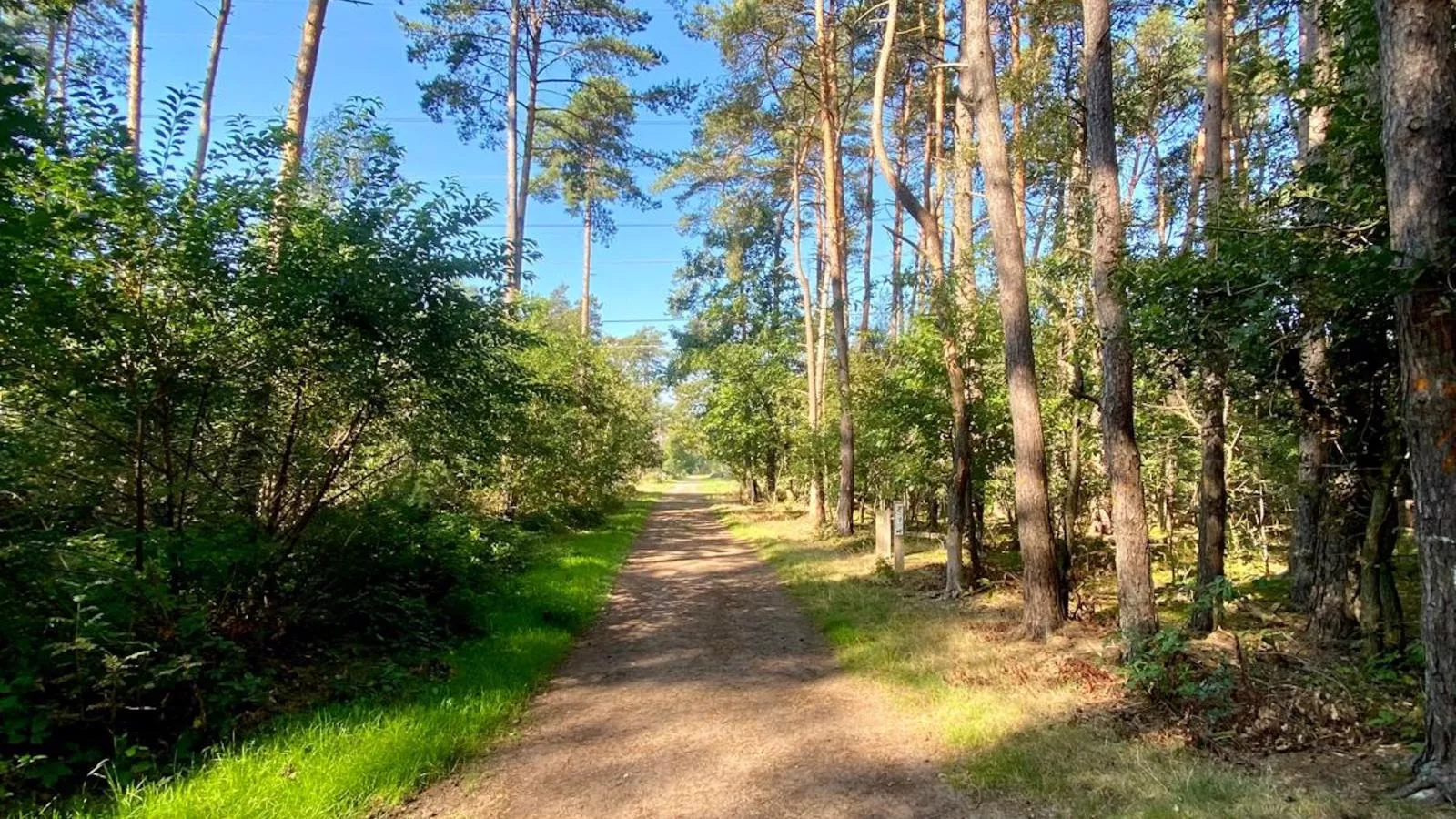 Cabin 22-Gebieden zomer 1km