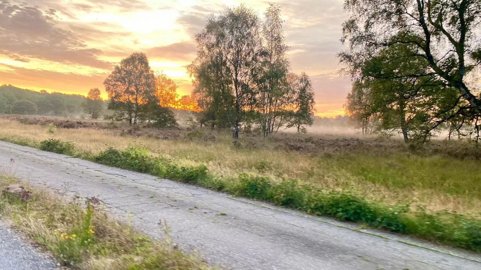 Cabin 22-Gebieden zomer 5km