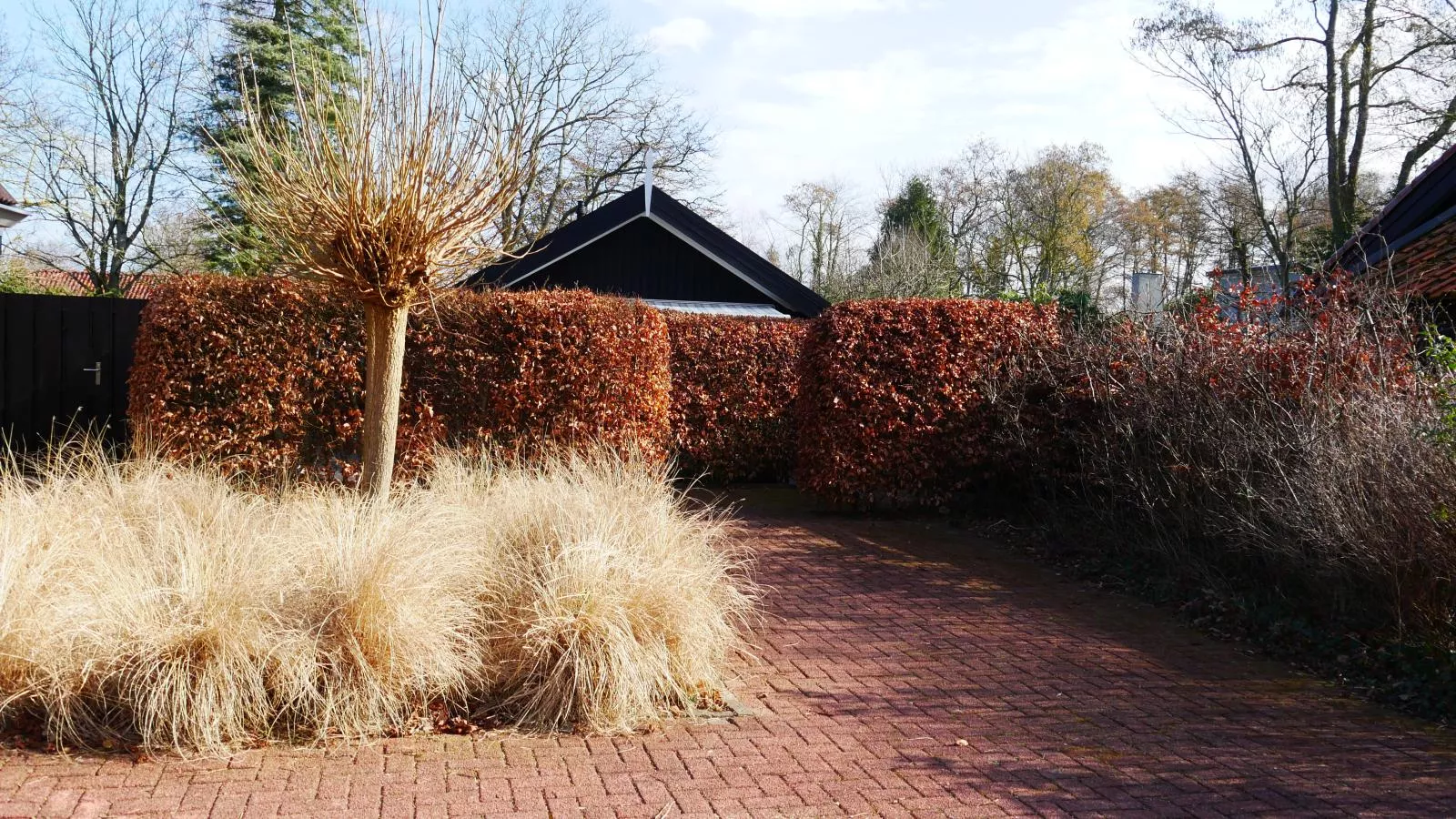 De Groeter Lodge-Tuin winter