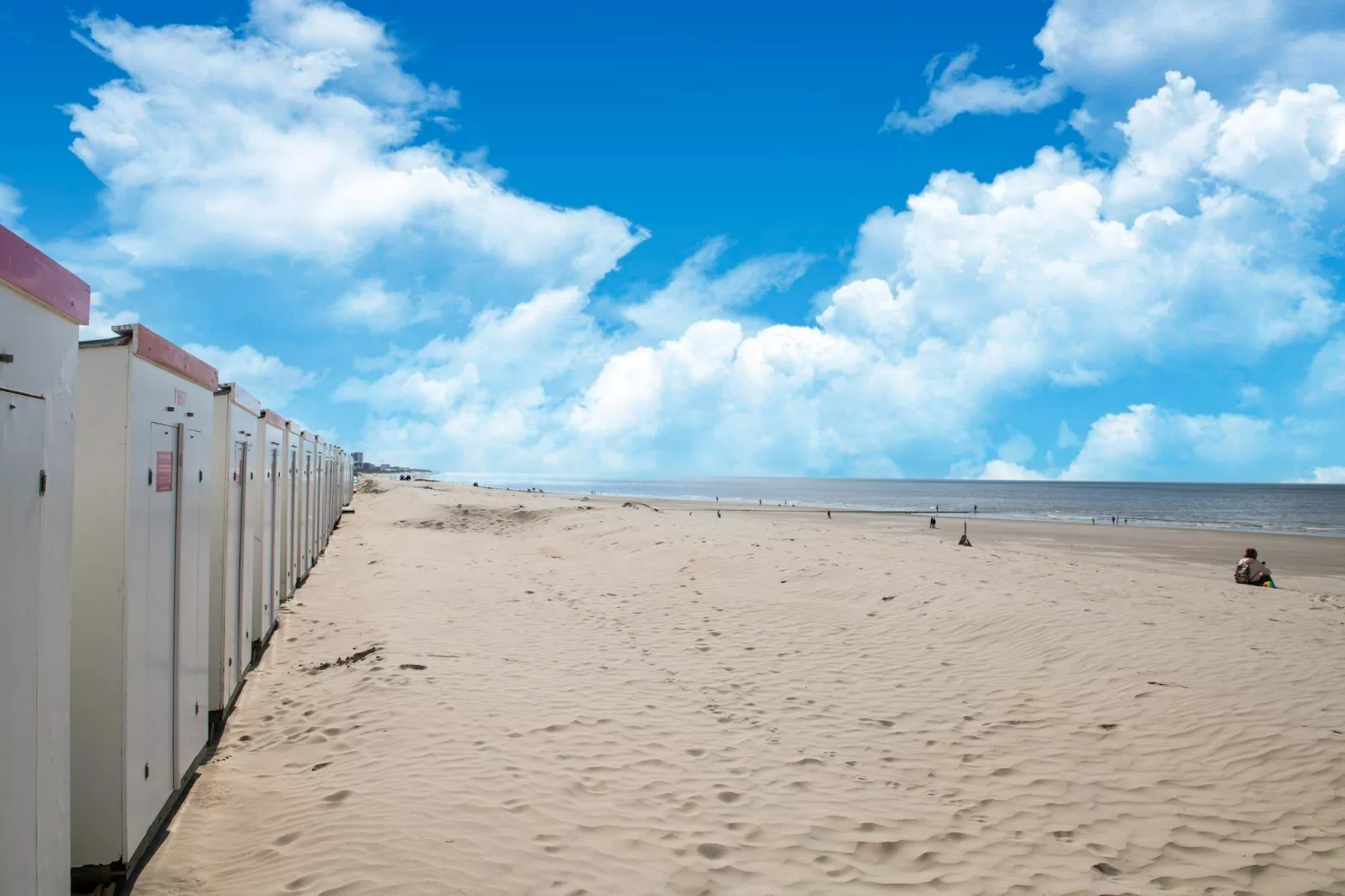 PLAZA H/3753-Gebieden zomer 1km