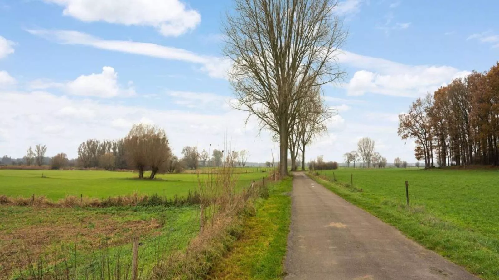 Hoevendeel-Gebieden zomer 5km