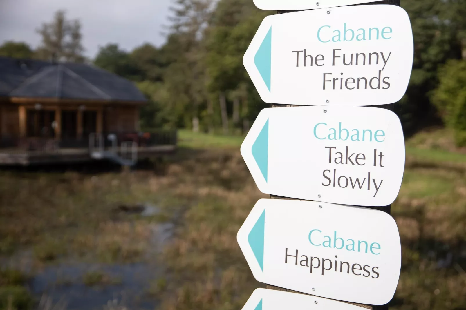 Cabane The Early Birds-Gebieden zomer 1km