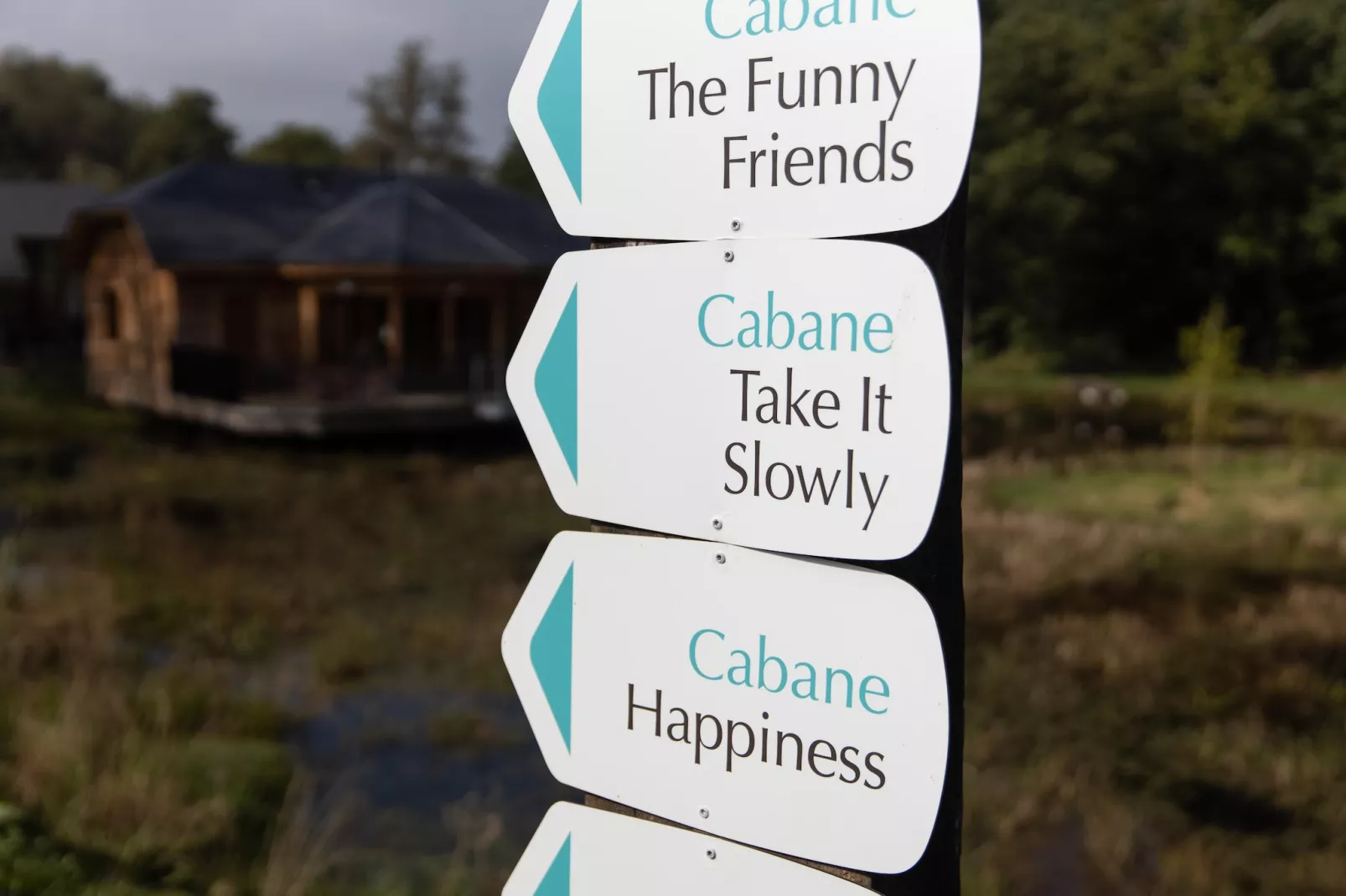 Cabane The Early Birds-Sfeer
