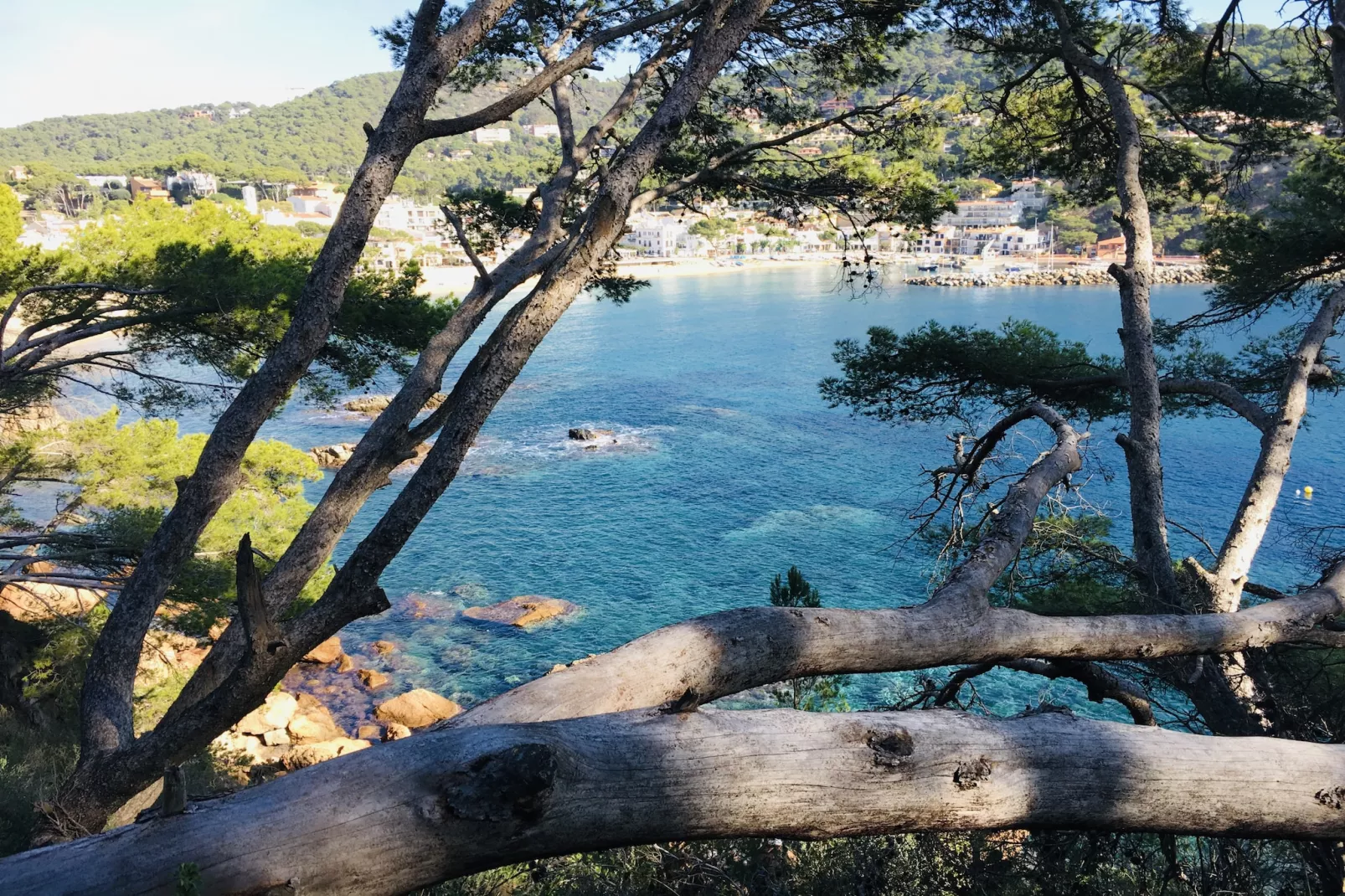 Ancora 01-Gebieden zomer 1km