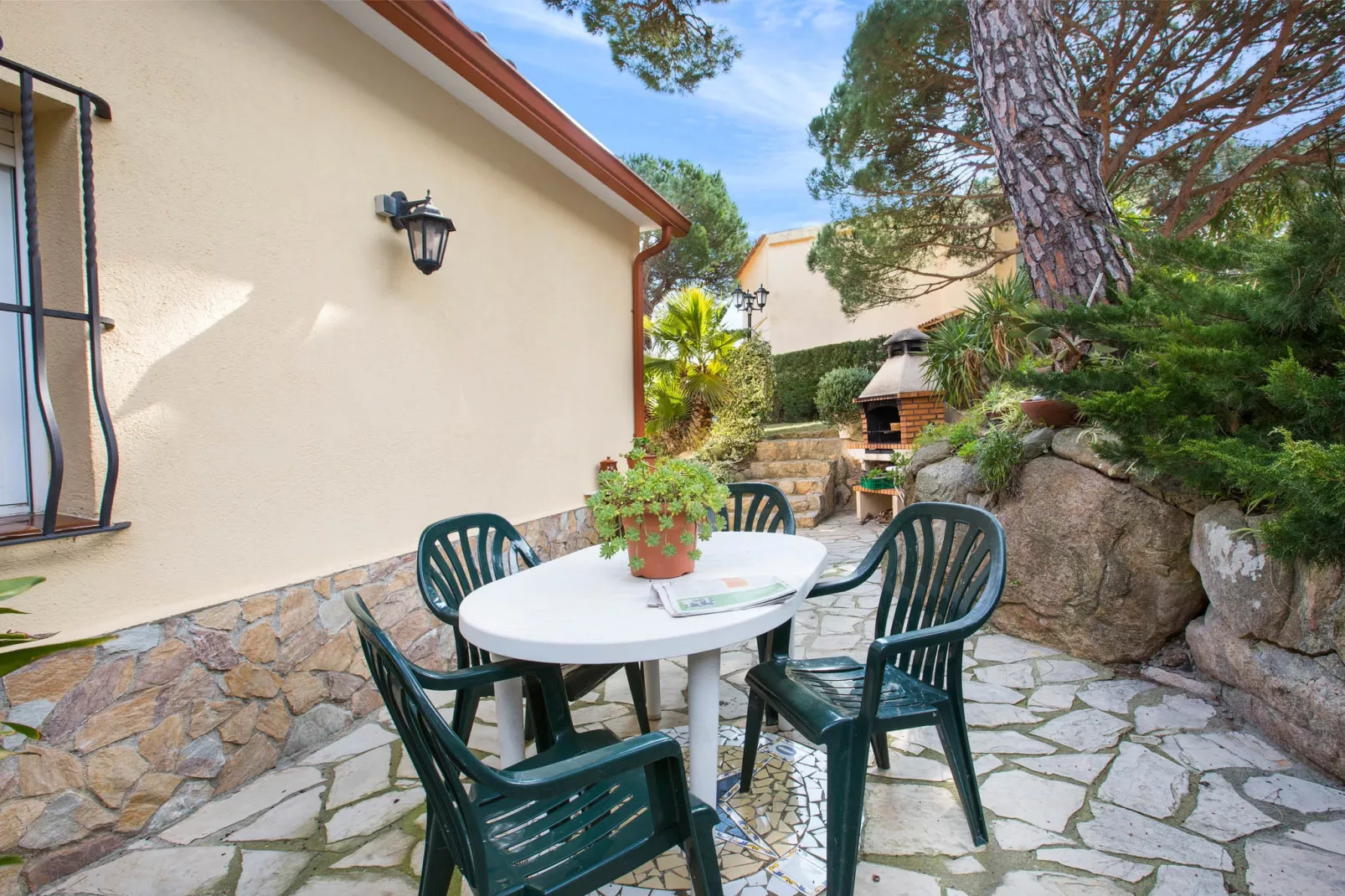 Crisantemo-Terras