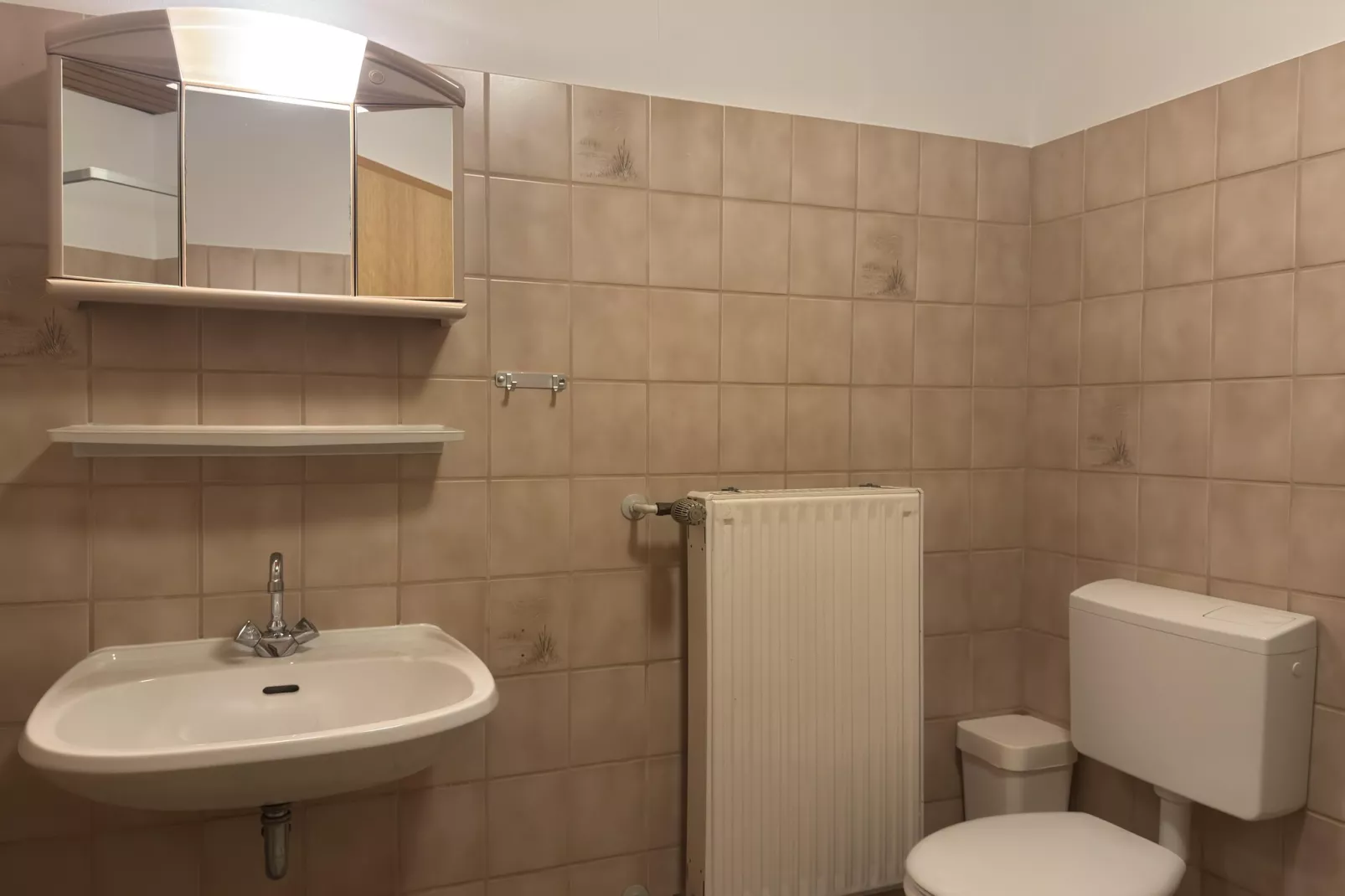 Fewo Tessin 2 Pers-Badkamer