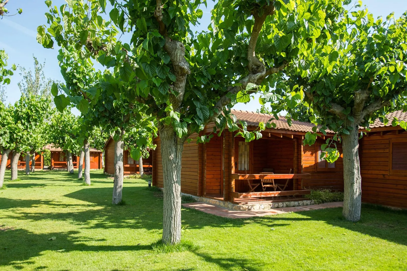 La Llosa Gregal- BUNGALOWS-Buitenkant zomer