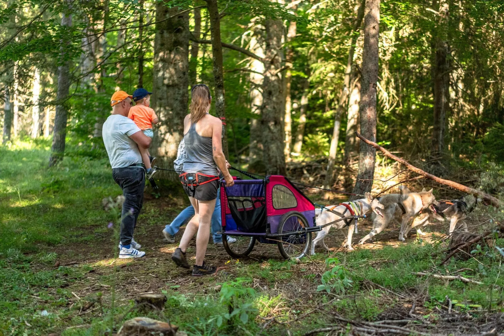 Saint-Julien-Chapteuil - Gîte 2 Pièces 4 Personnes 1  bébé-Gebieden zomer 20km