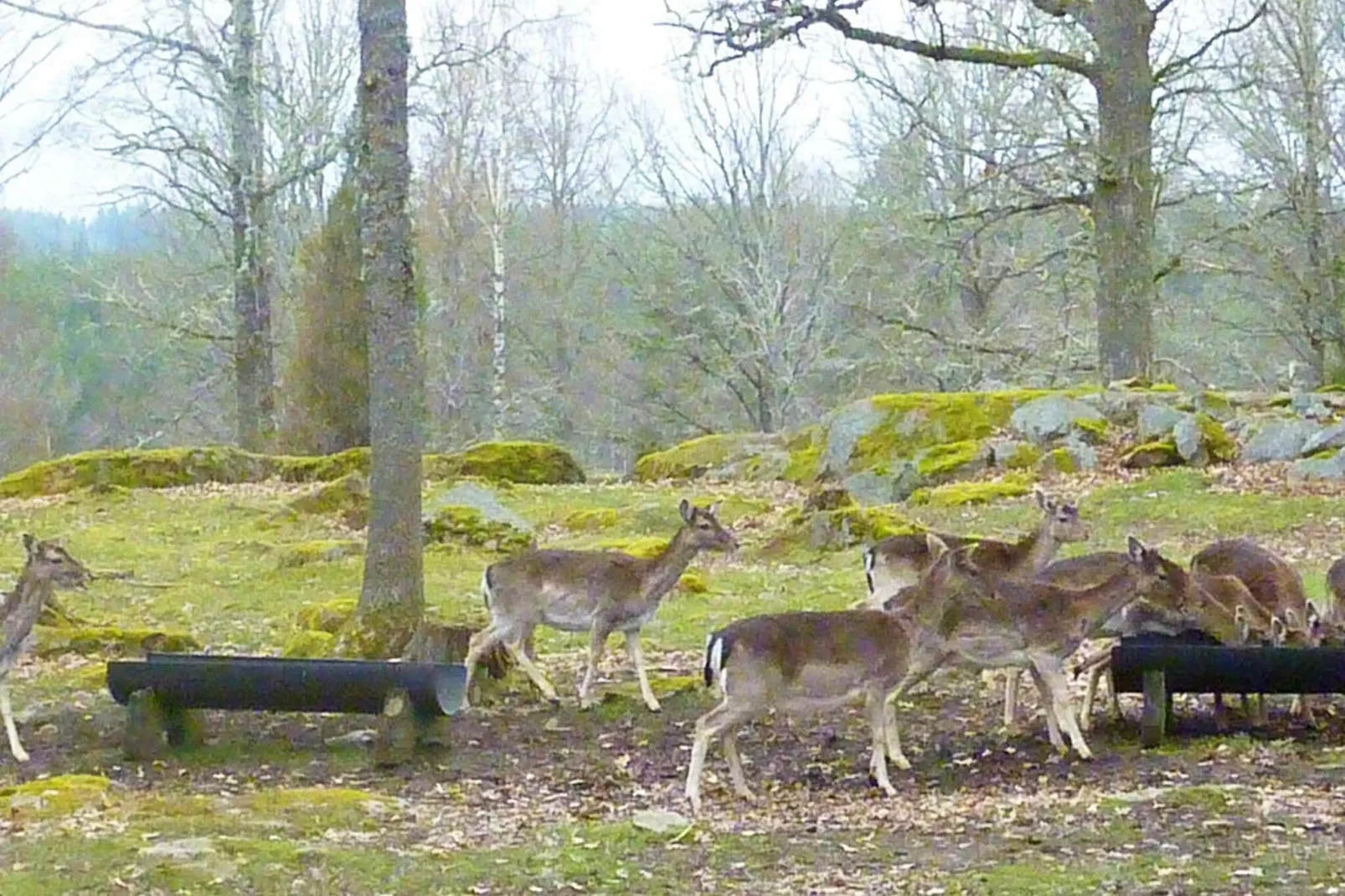 6 persoons vakantie huis in Pauliström