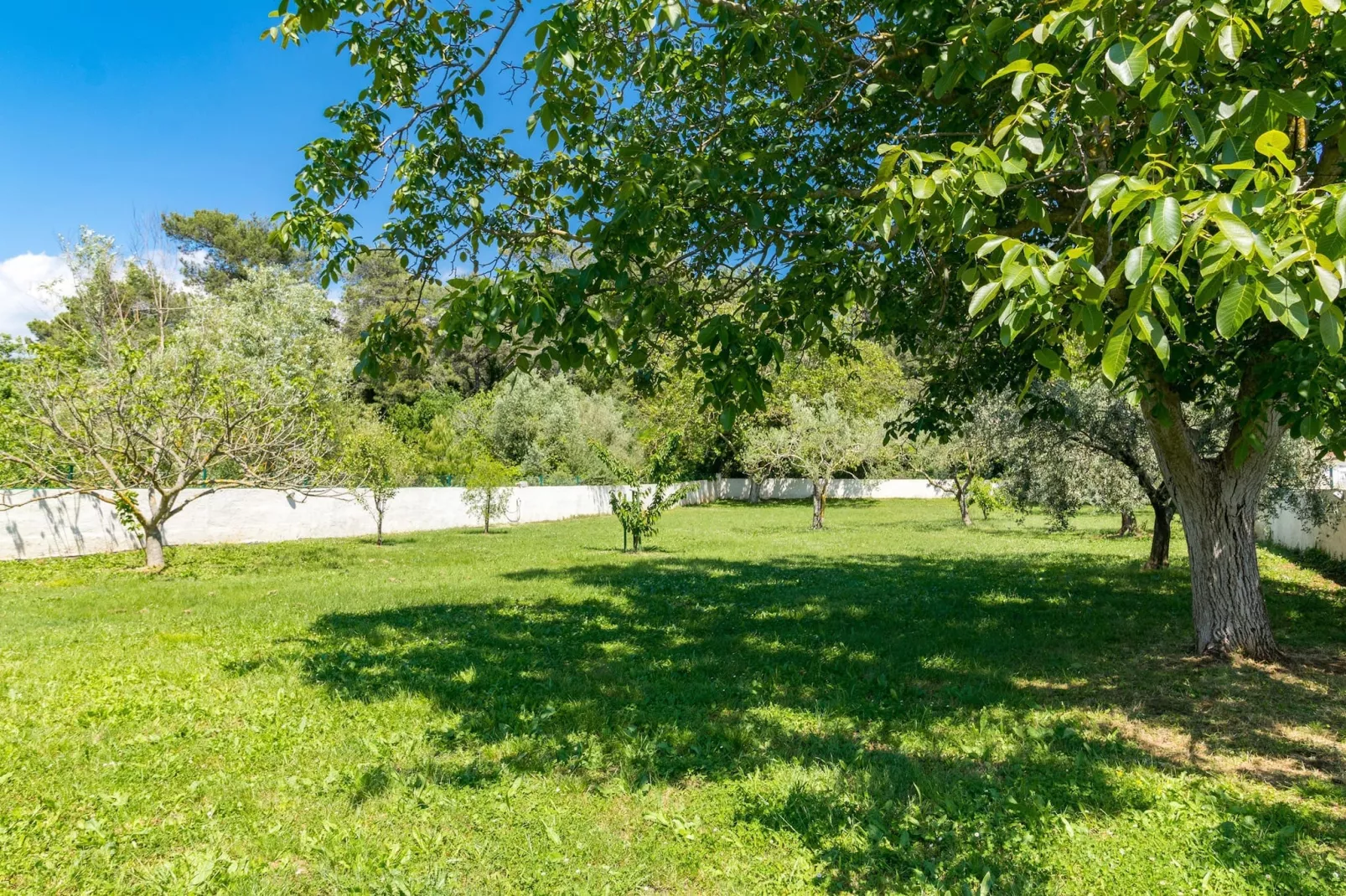 Holiday Home Dolinka with Private Pool-Tuinen zomer