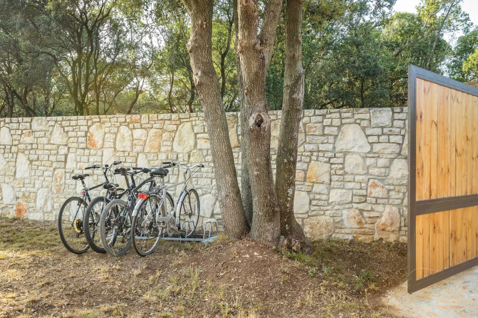 Casa Vala Romana - Big Garden, Jacuzzi, Free Bikes-Tuinen zomer