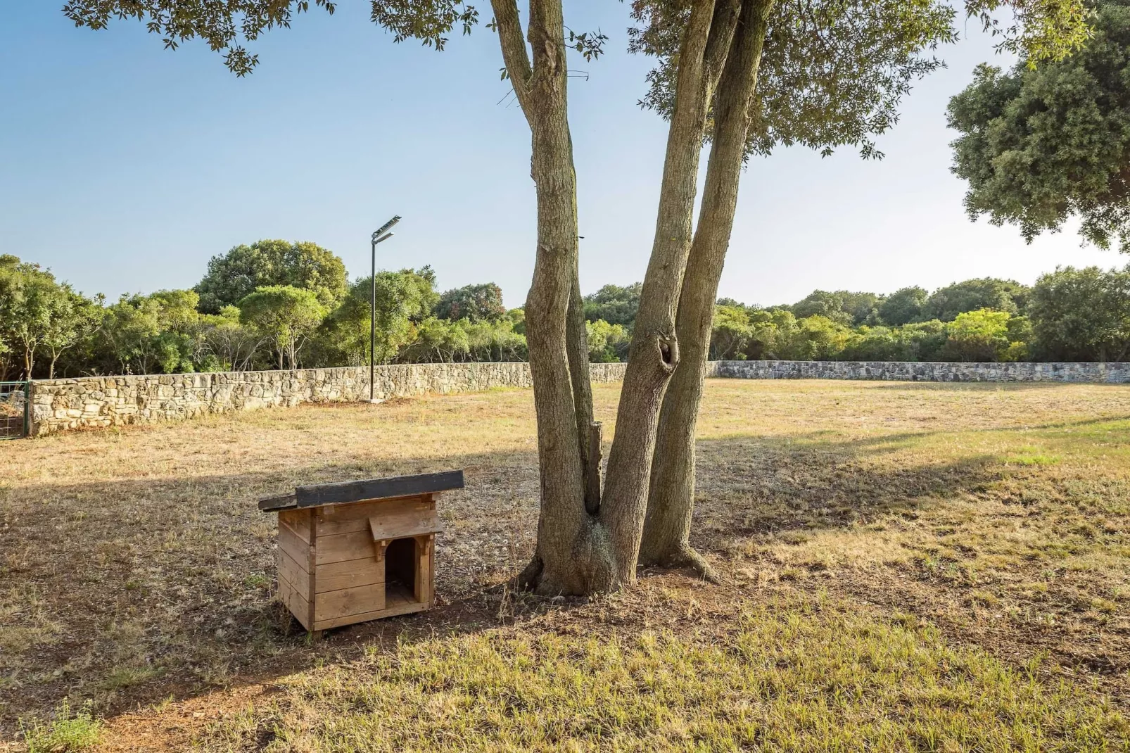 Casa Vala Romana - Big Garden, Jacuzzi, Free Bikes-Tuinen zomer