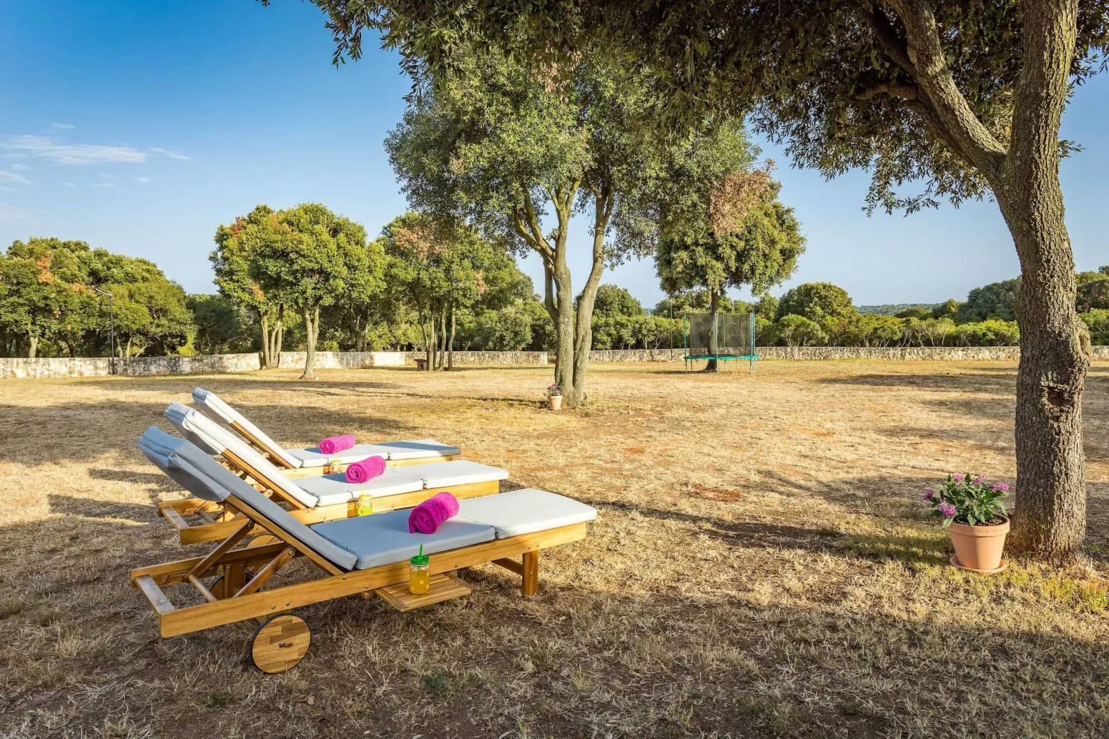 Casa Vala Romana - Big Garden, Jacuzzi, Free Bikes-Tuinen zomer