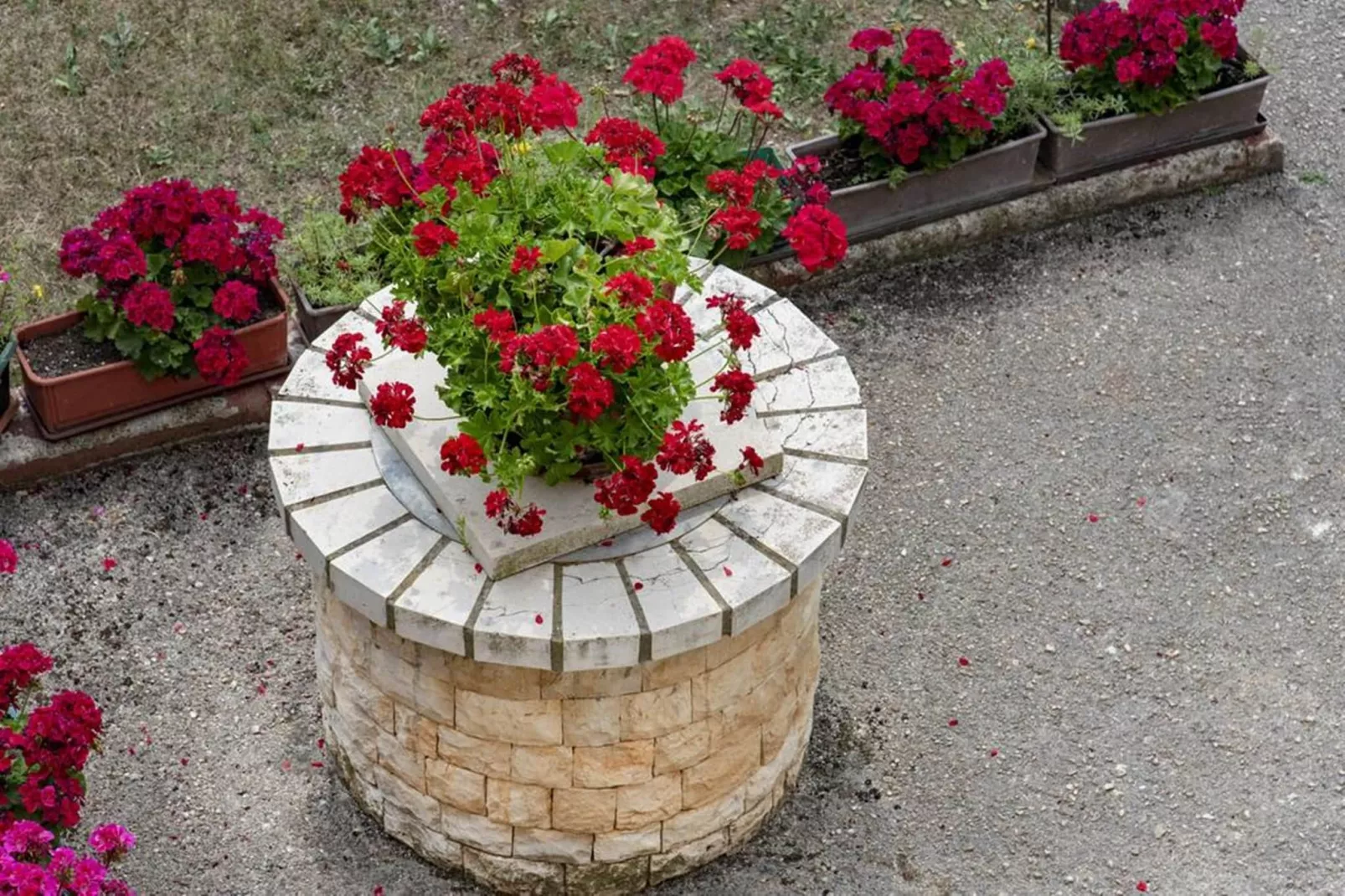 Apartment B - Flower Garden by M&A-Sfeer