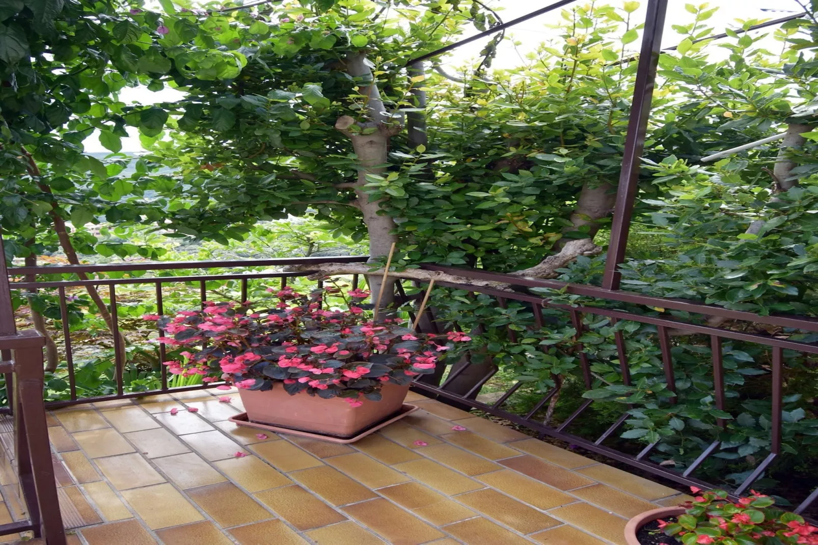 Apartment Neda with Wonderful Sea View-Buitenlucht