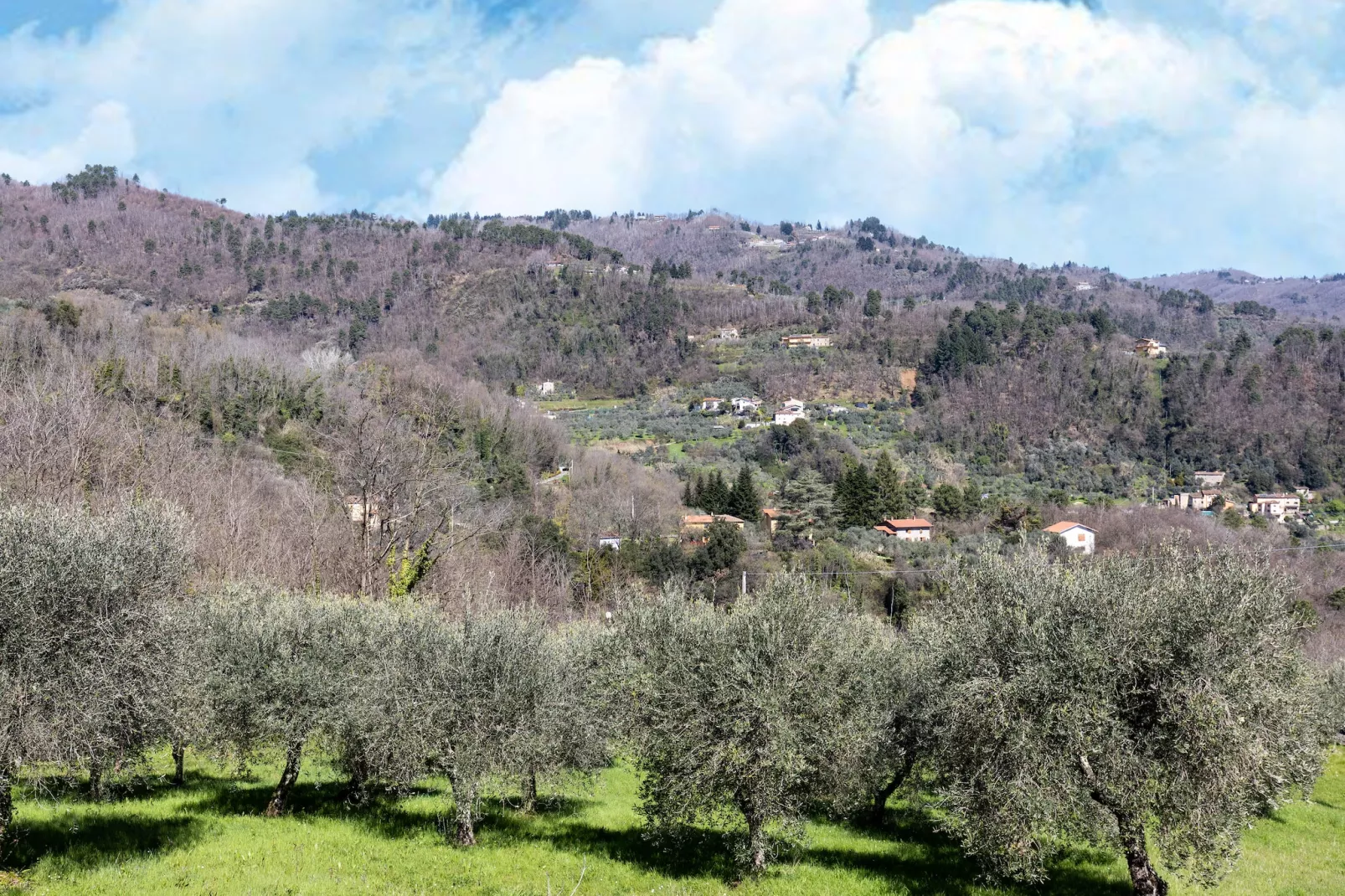 Casa di Lavanda-Gebieden zomer 1km