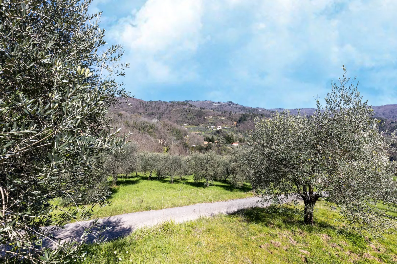 Casa di Lavanda-Gebieden zomer 1km