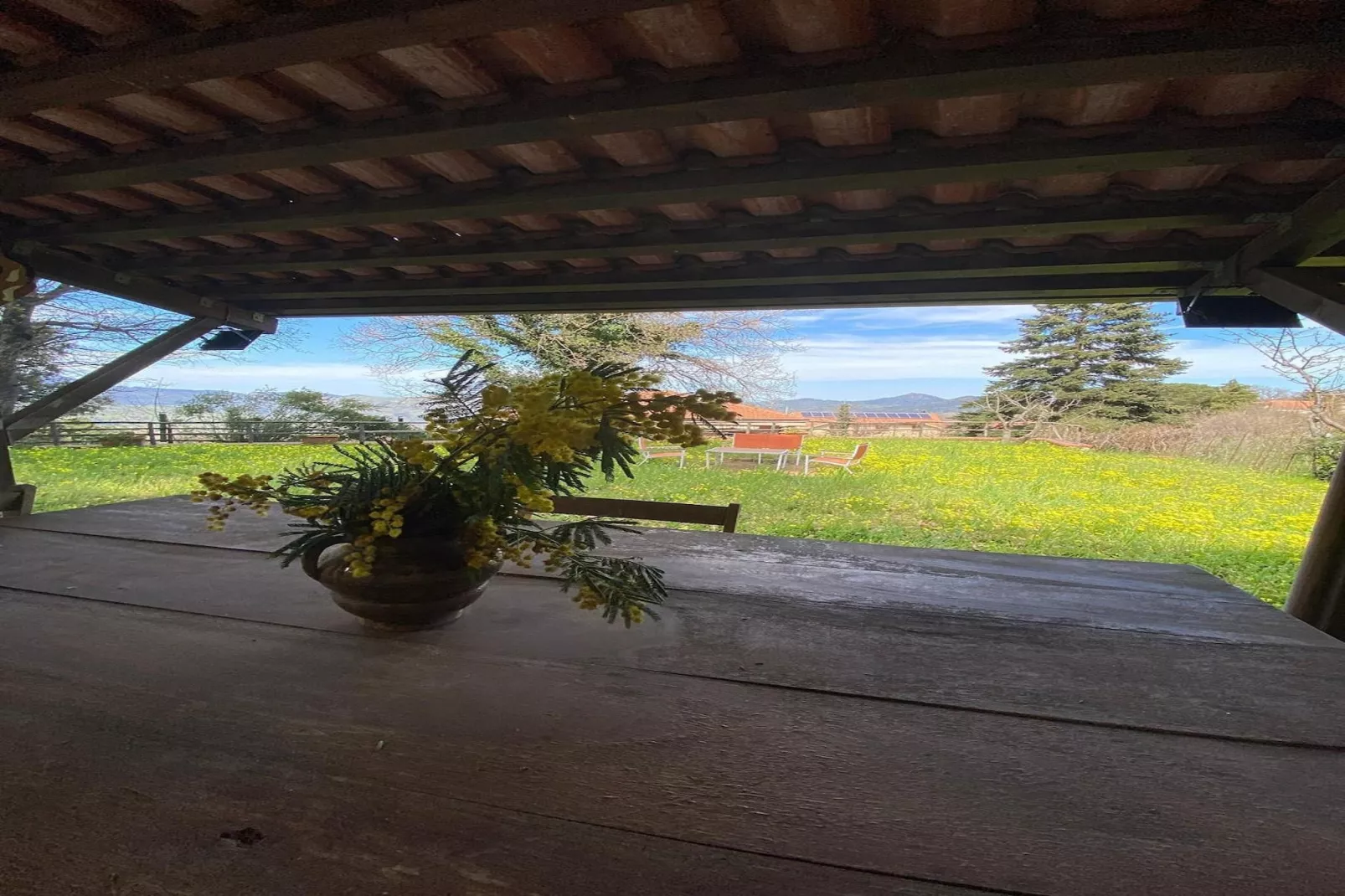 Villa Castelbuono-Tuinen zomer