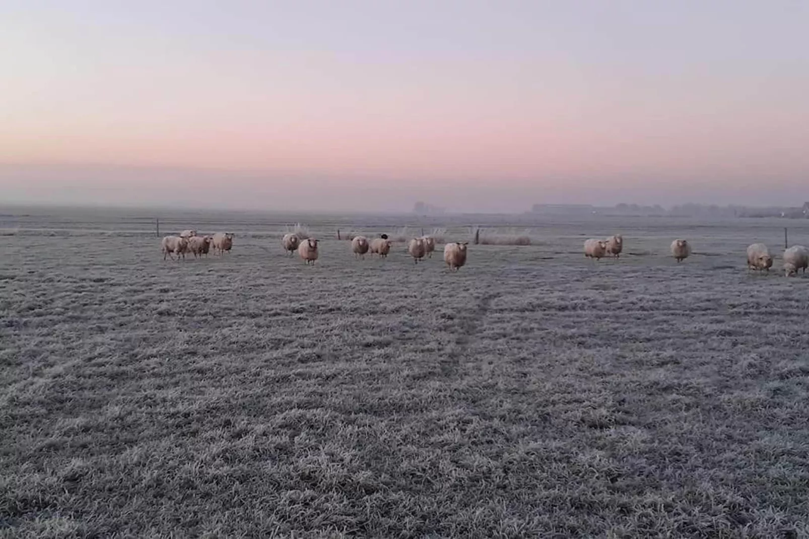 Grutto-Uitzicht winter