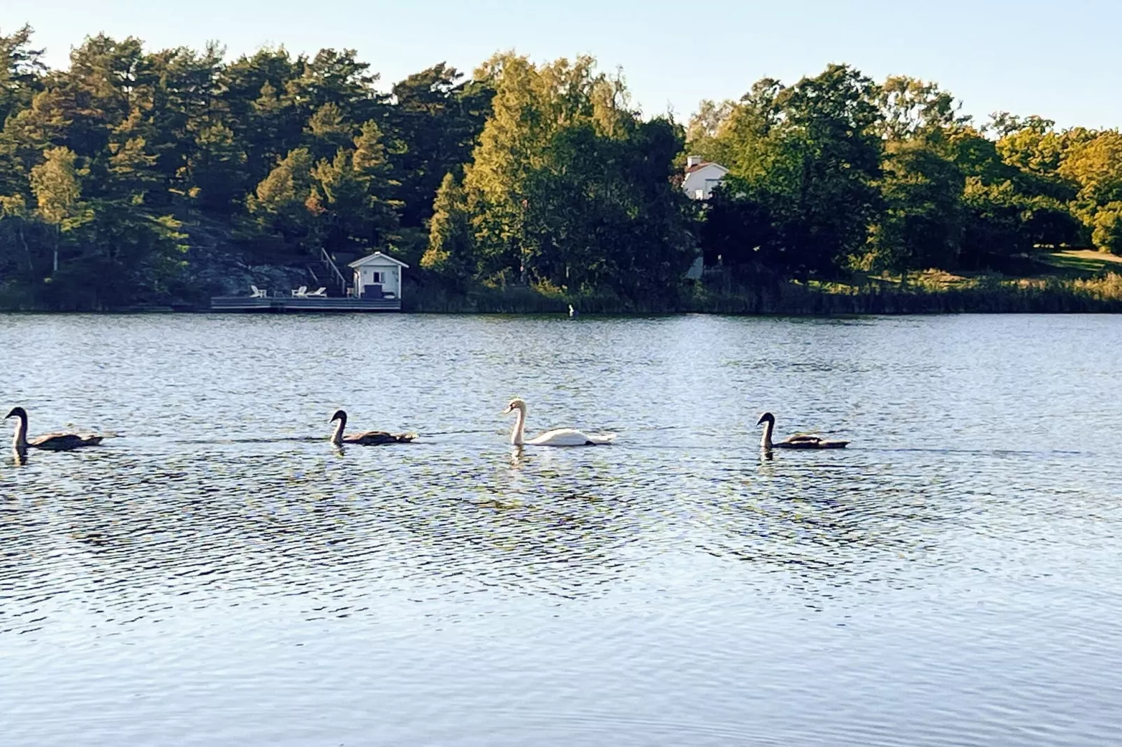 4 sterren vakantie huis in VÄRMDÖ-Niet-getagd