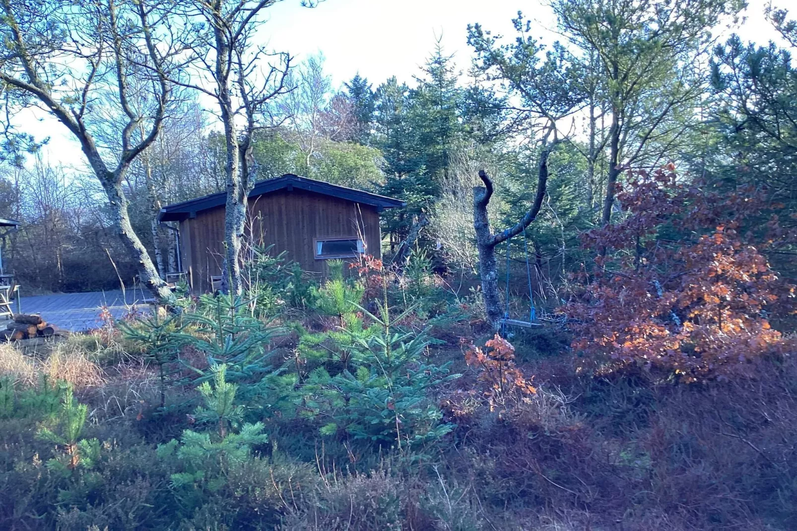 4 sterren vakantie huis in Ålbæk-Buitenlucht
