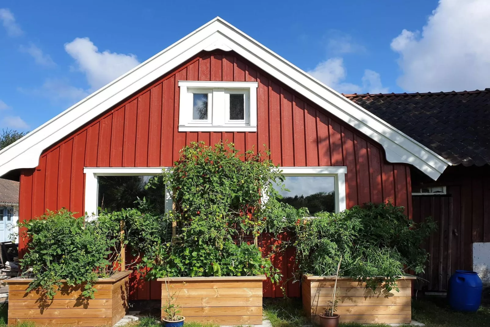 4 sterren vakantie huis in Åsa-Buitenlucht