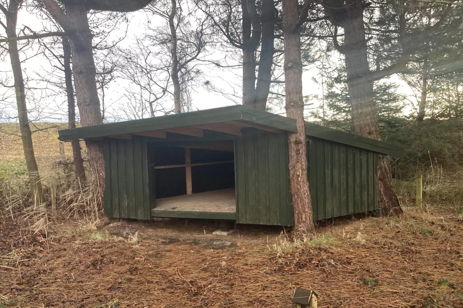 6 Personen vakantie huis in Gedser-Buitenlucht
