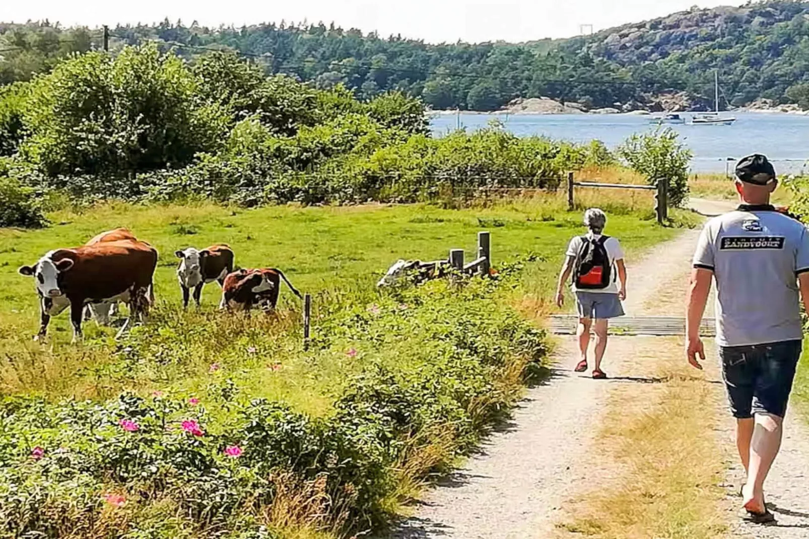 4 sterren vakantie huis in UDDEVALLA-Niet-getagd
