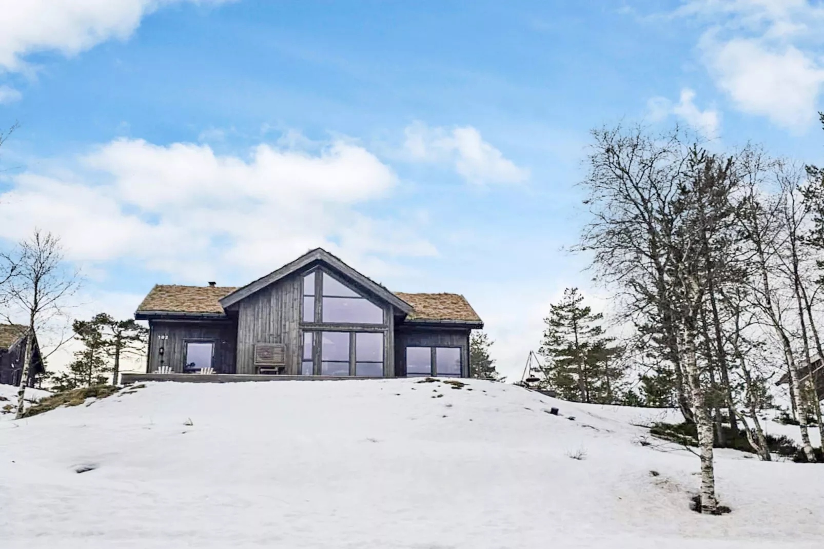 11 Personen vakantie huis in Hornnes-Buitenlucht