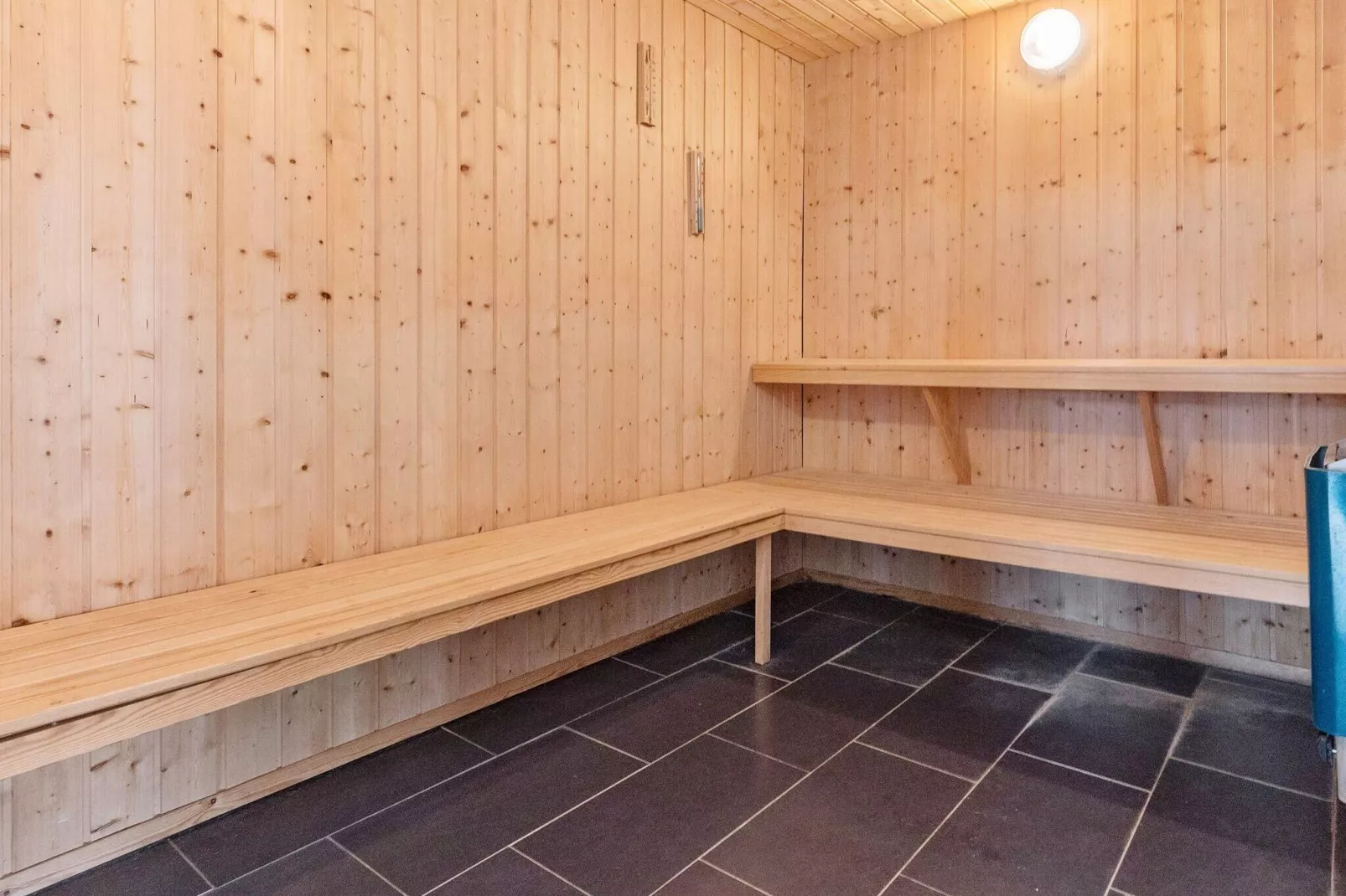 22 persoons vakantie huis in Blåvand-Sauna