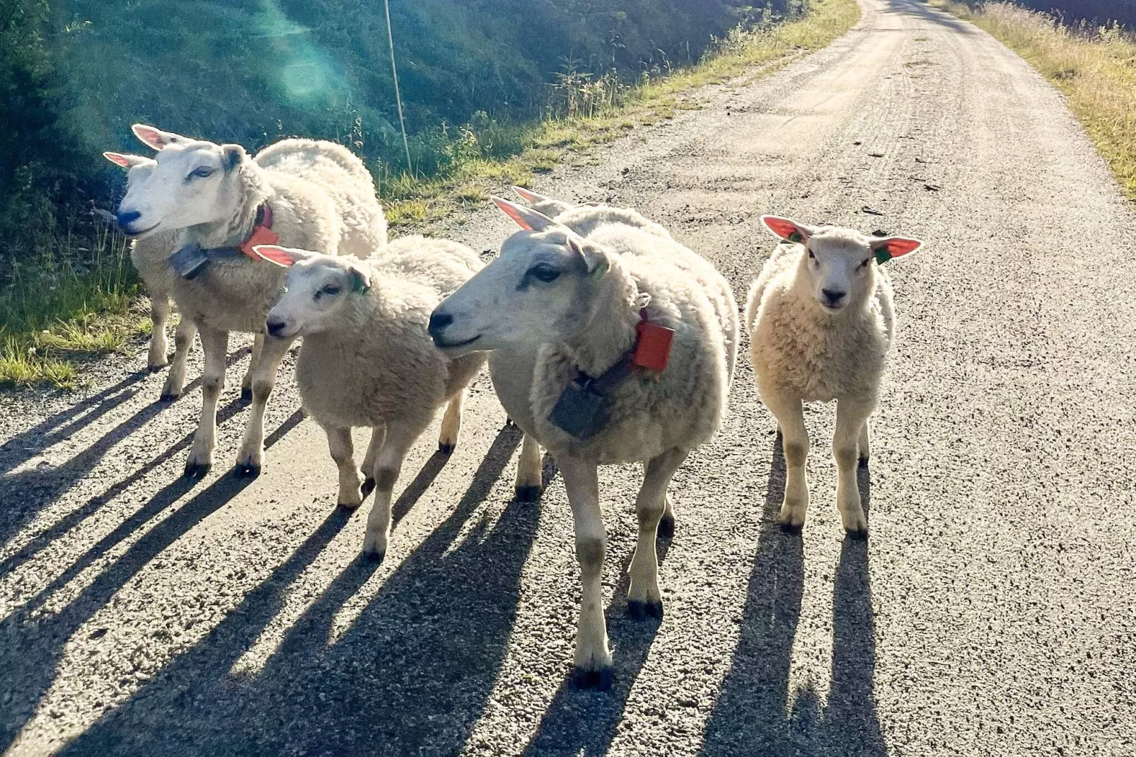 4 Personen vakantie huis in gol-Niet-getagd