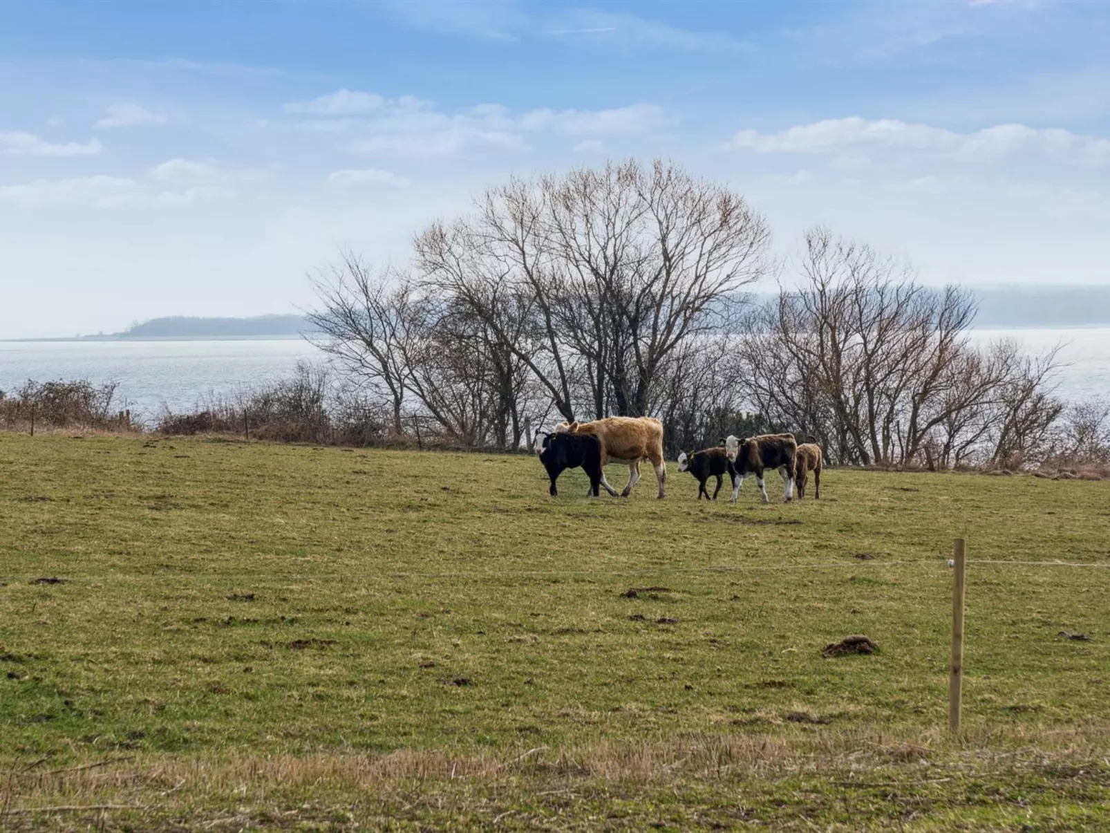 "Salka" - 200m to the inlet-Buiten