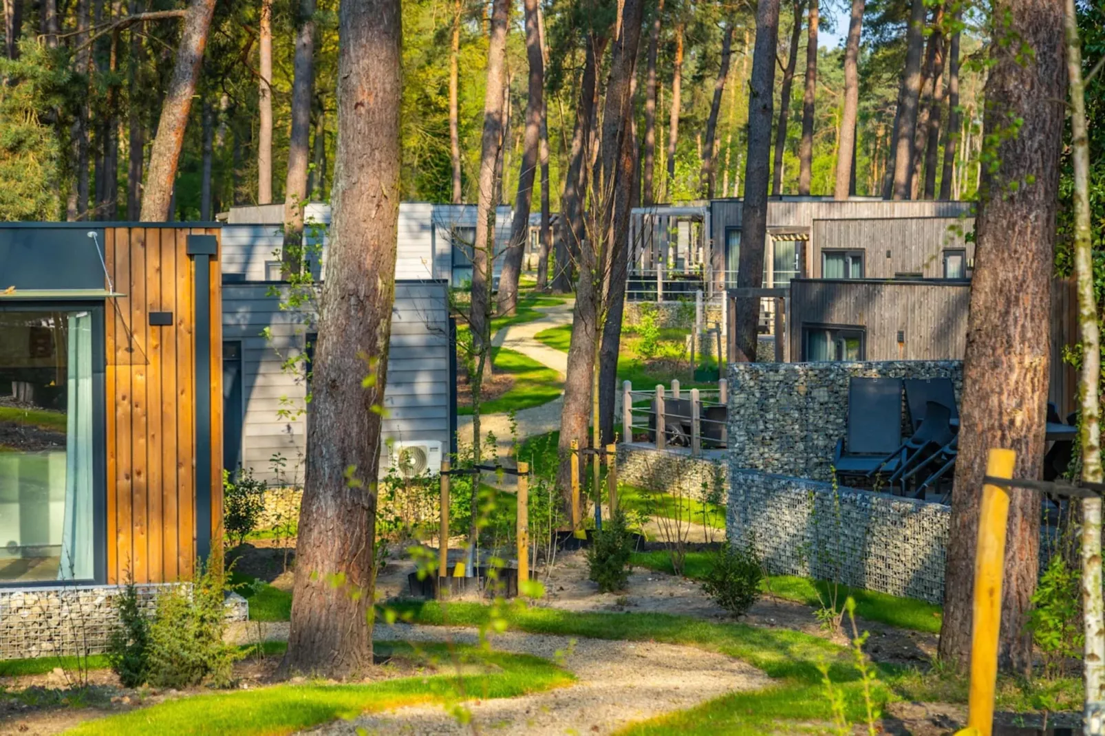Resort Hoge Kempen 6-Uitzicht zomer