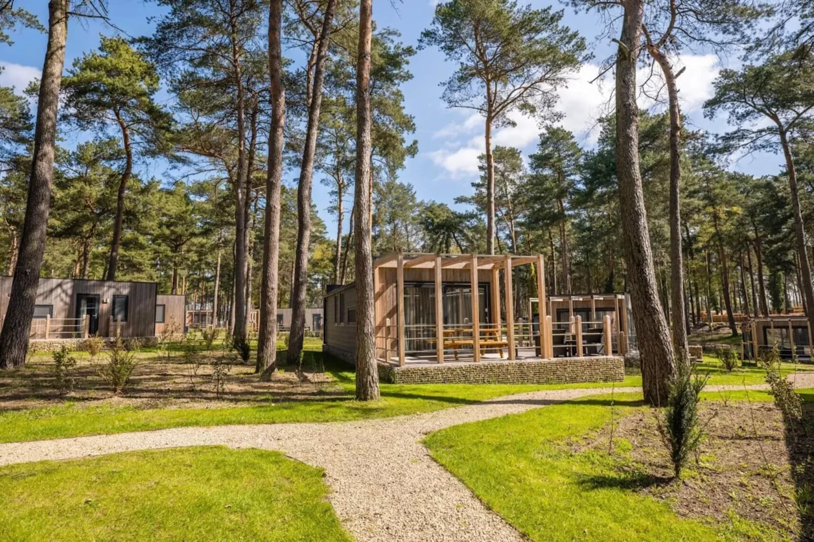 Resort Hoge Kempen 6-Uitzicht zomer