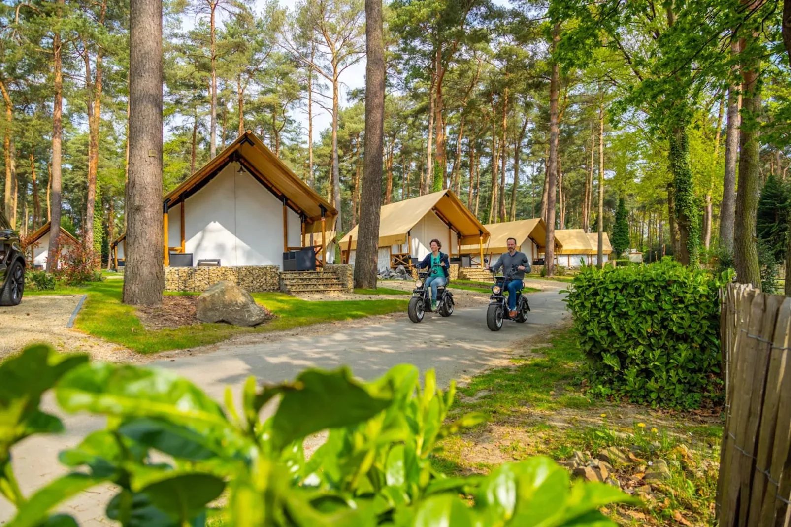 Resort Hoge Kempen 6-Gebieden zomer 1km