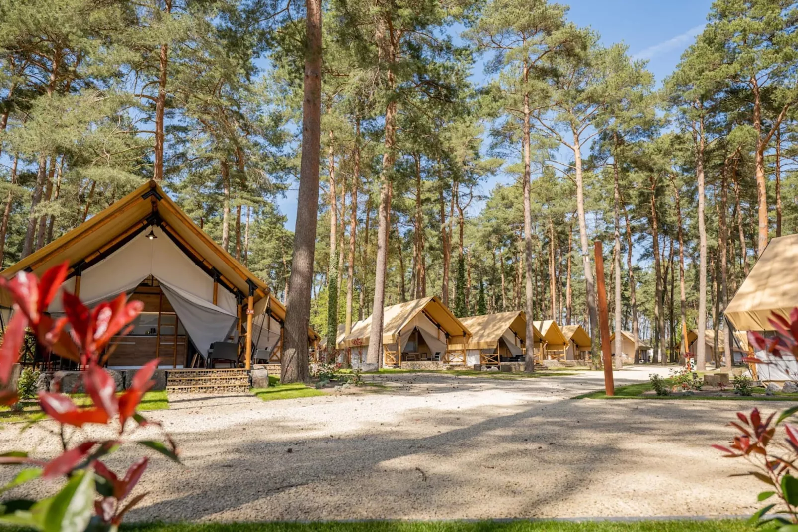 Resort Hoge Kempen 6-Gebieden zomer 1km