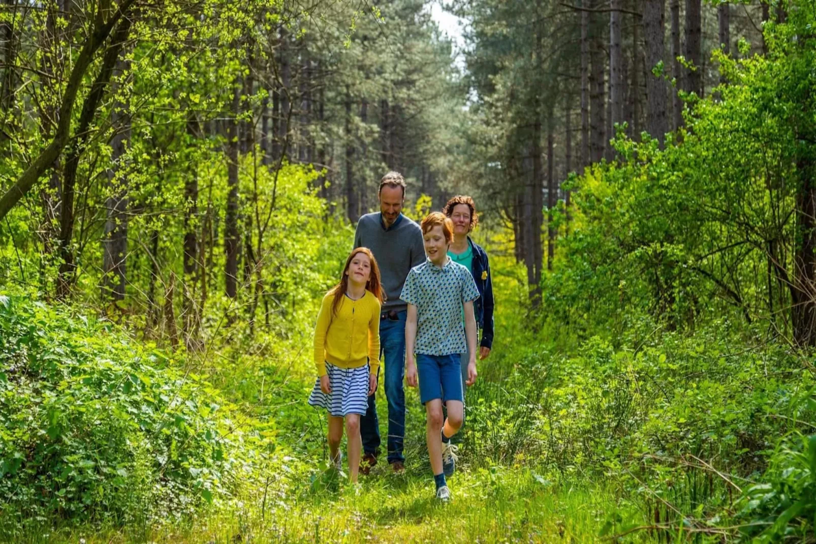 Resort Hoge Kempen 6-Gebieden zomer 5km