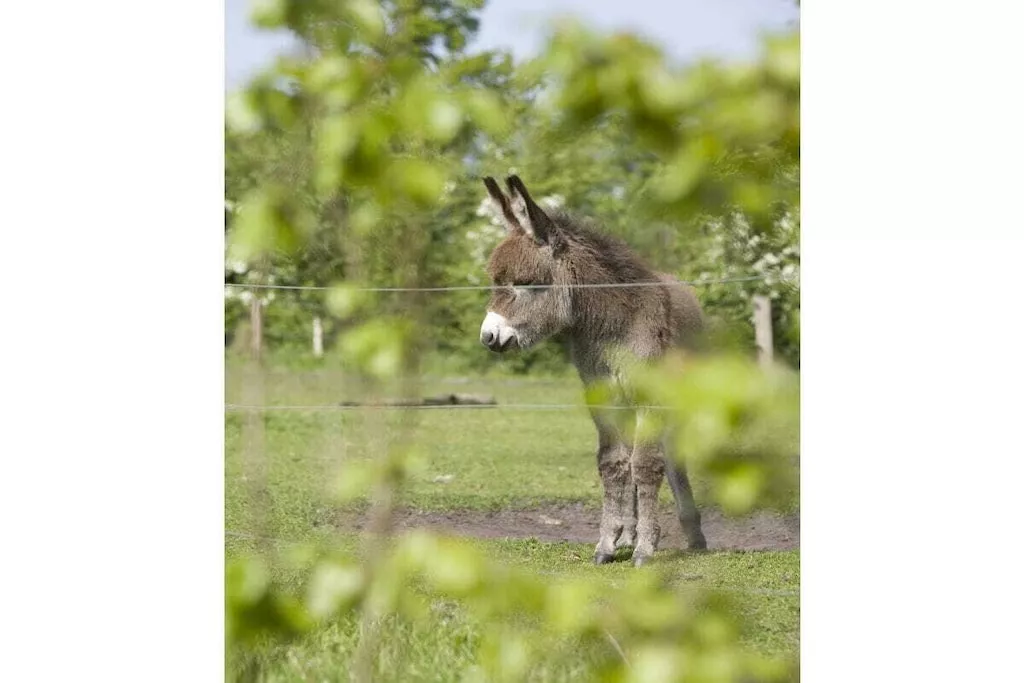 51368-Niet-getagd