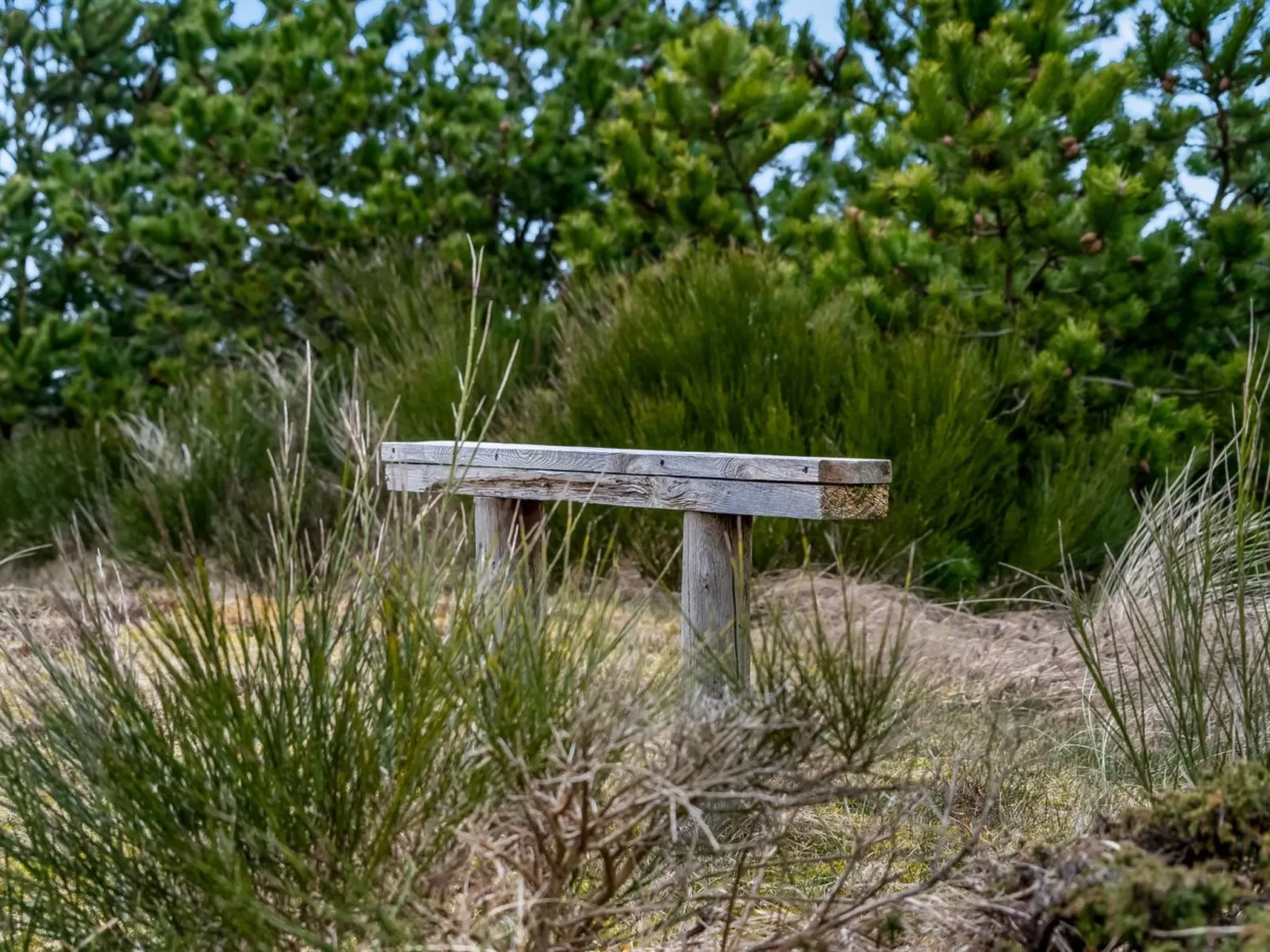 "Godja" - 1km from the sea-Buiten