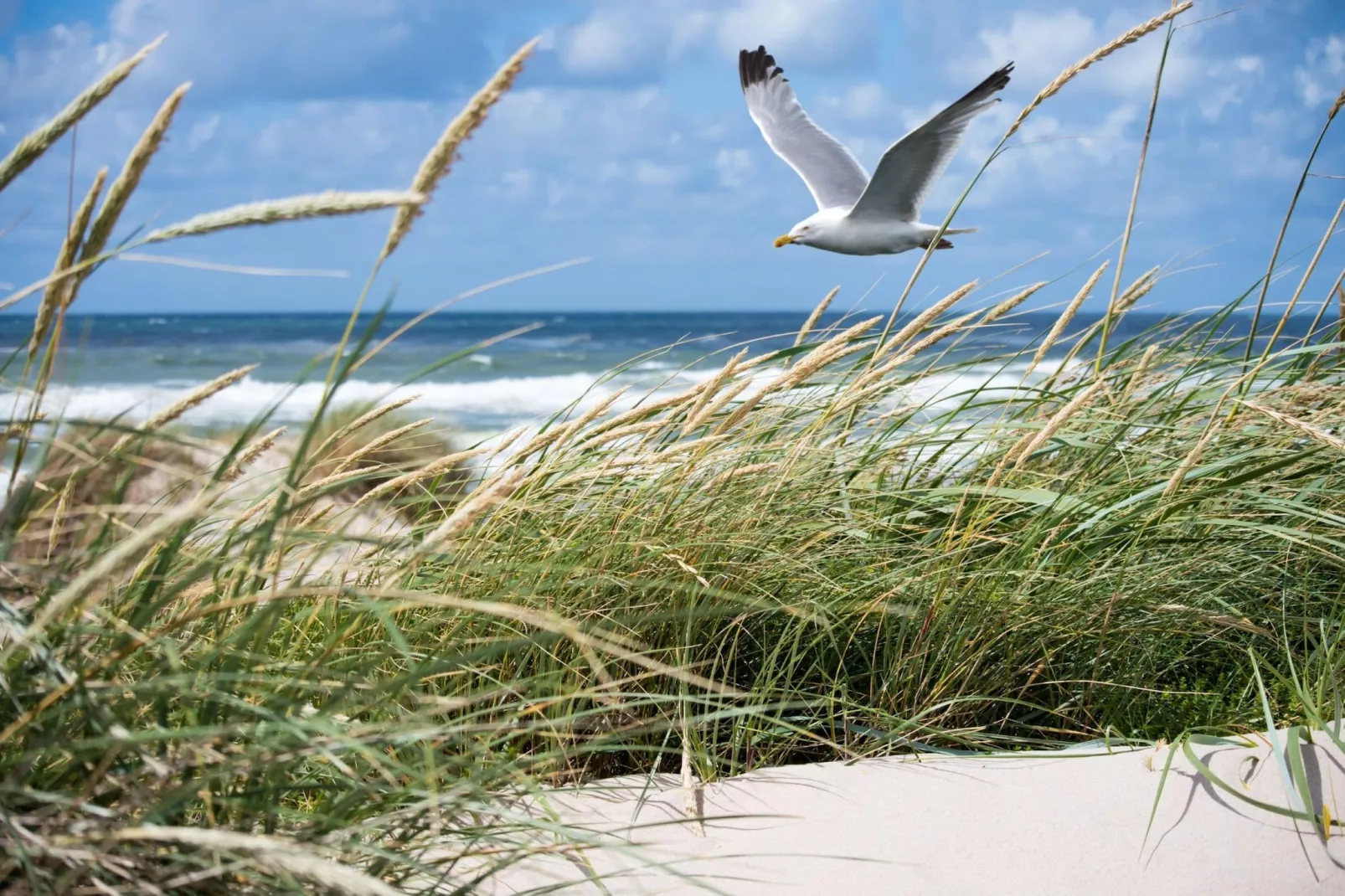 Residentie Normandy-1D-Sfeer