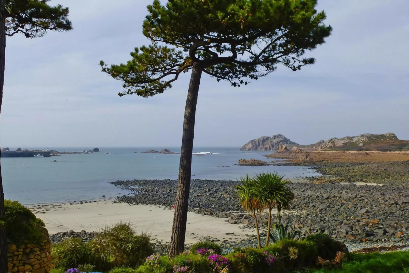 Holiday home Plougasnou-Gebieden zomer 1km
