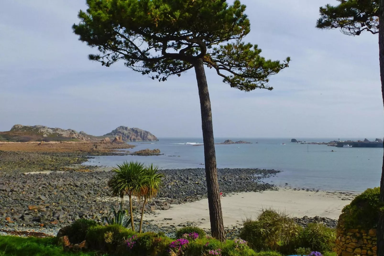 Holiday home Plougasnou-Gebieden zomer 1km