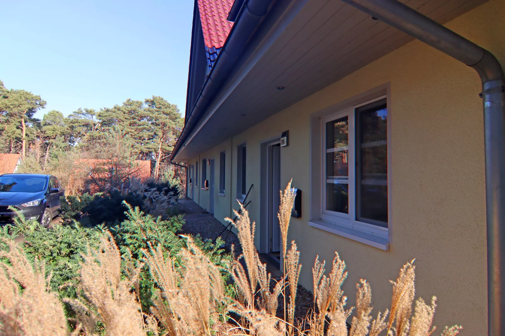 Dünenwaldhaus links Typ 1-Exterieur winter