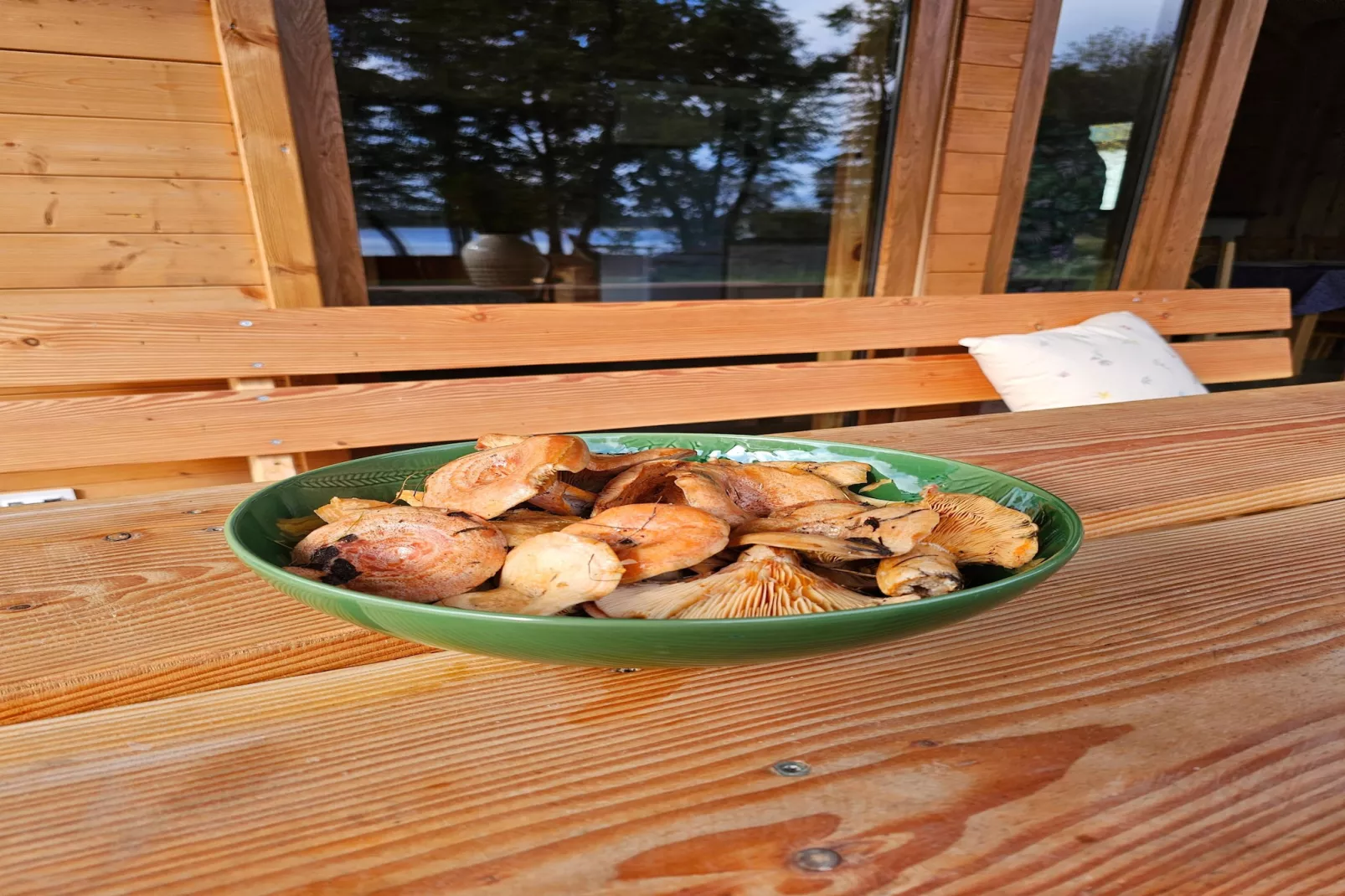 Domek wakacyjny LAWENDA dla max 6 osób Grąbczyn-Terrasbalkon
